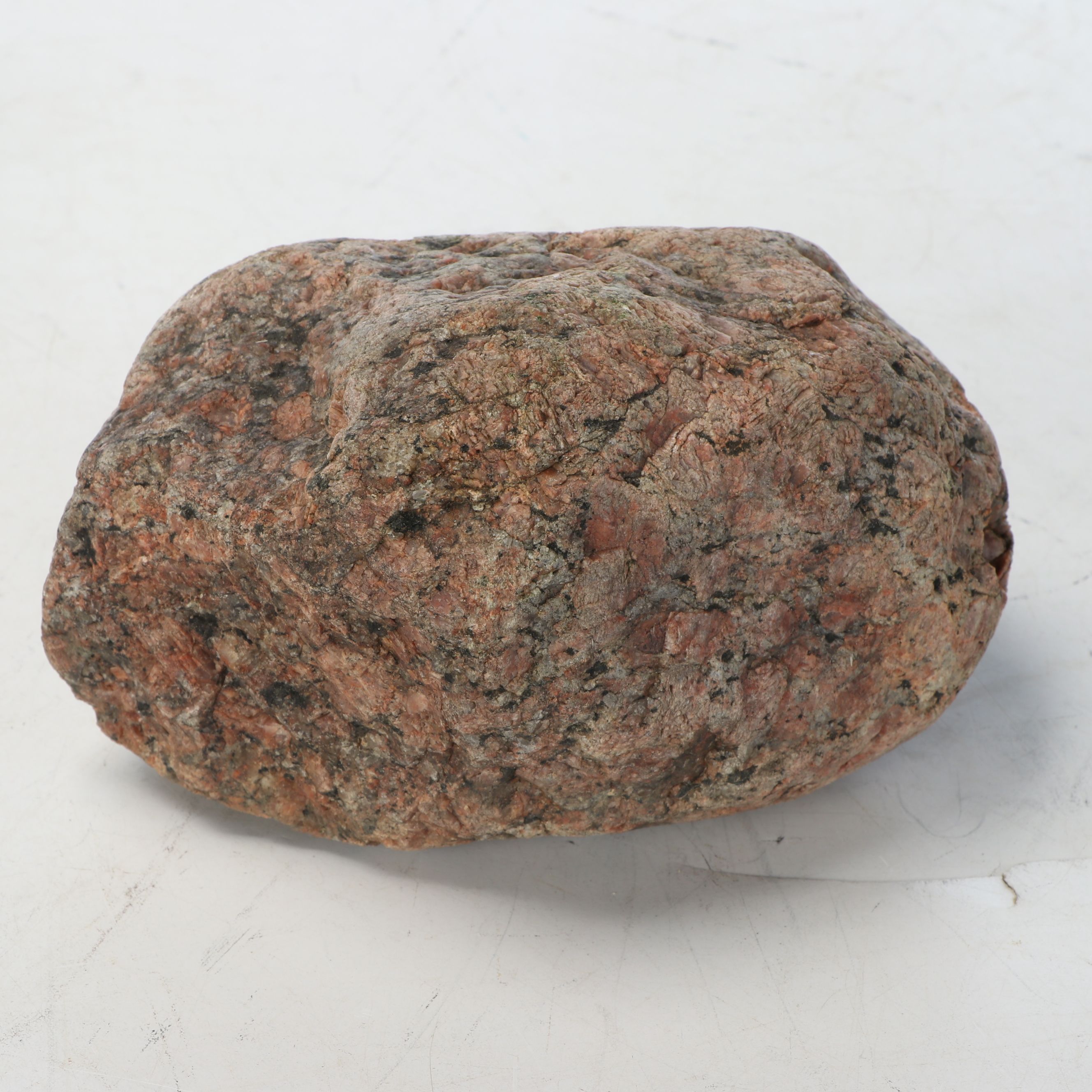 Petrified Wood and Rock Natural Specimens