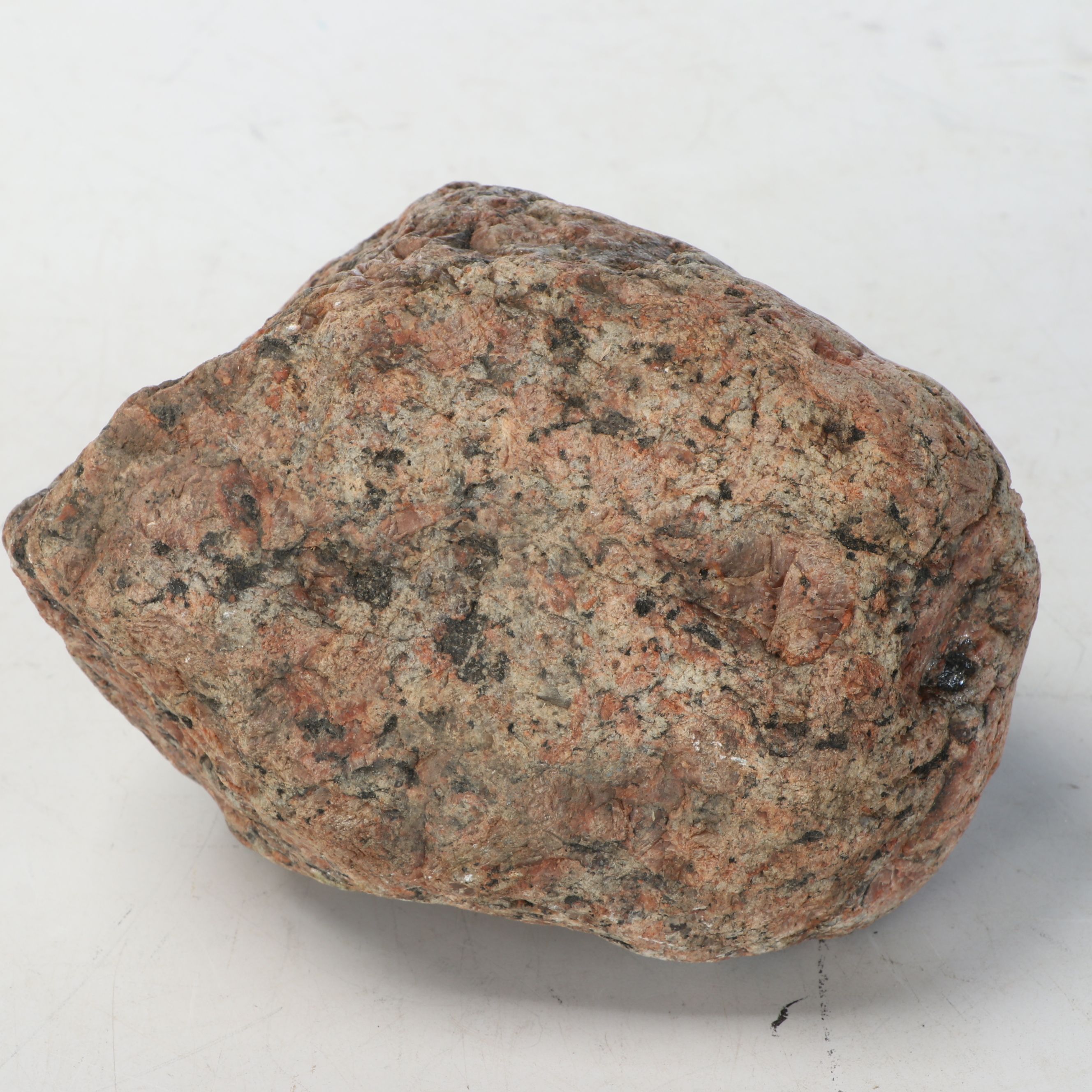 Petrified Wood and Rock Natural Specimens