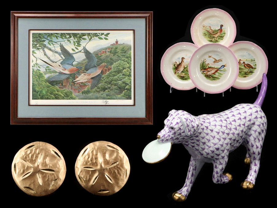 Call of the Wild: Treasures from Nature’s Curio Cabinet