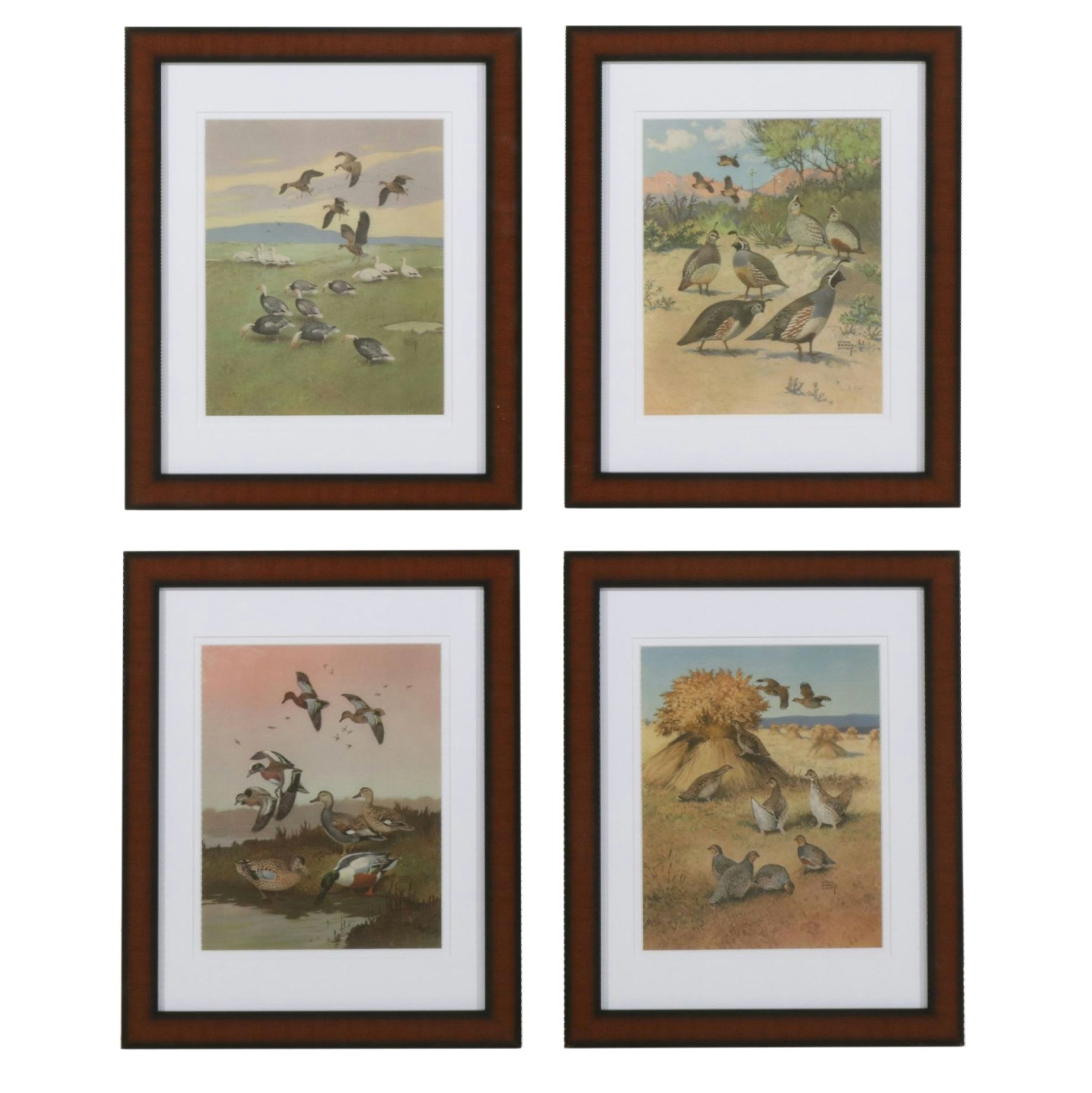 Giclées After Lynn Bogue Hunt Scenes of Foraging Fowl from Game Birds of America