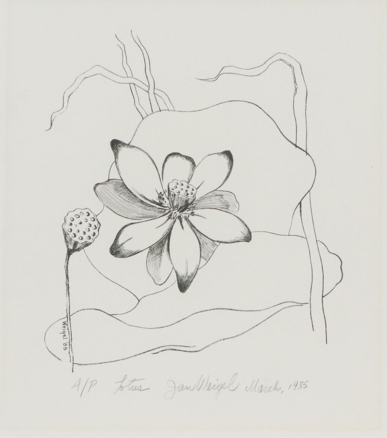 Jan Weigel Lithograph "Lotus," 1985