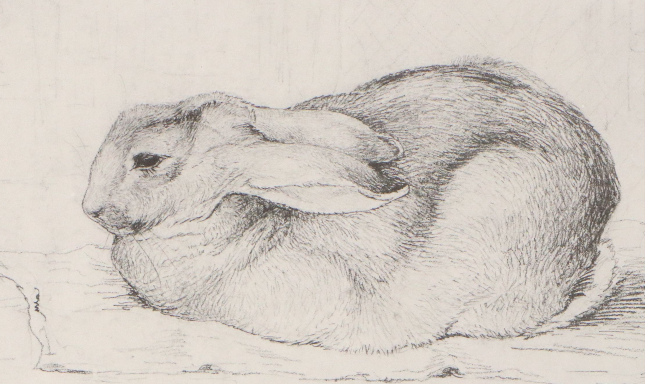 Halftone After Beatrix Potter "Peter Rabbit" | EBTH