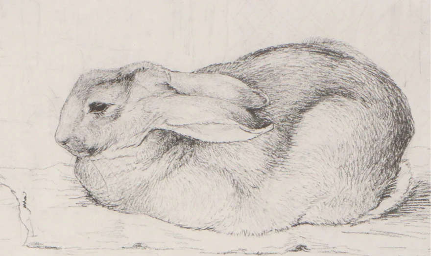 Halftone After Beatrix Potter "Peter Rabbit" | EBTH