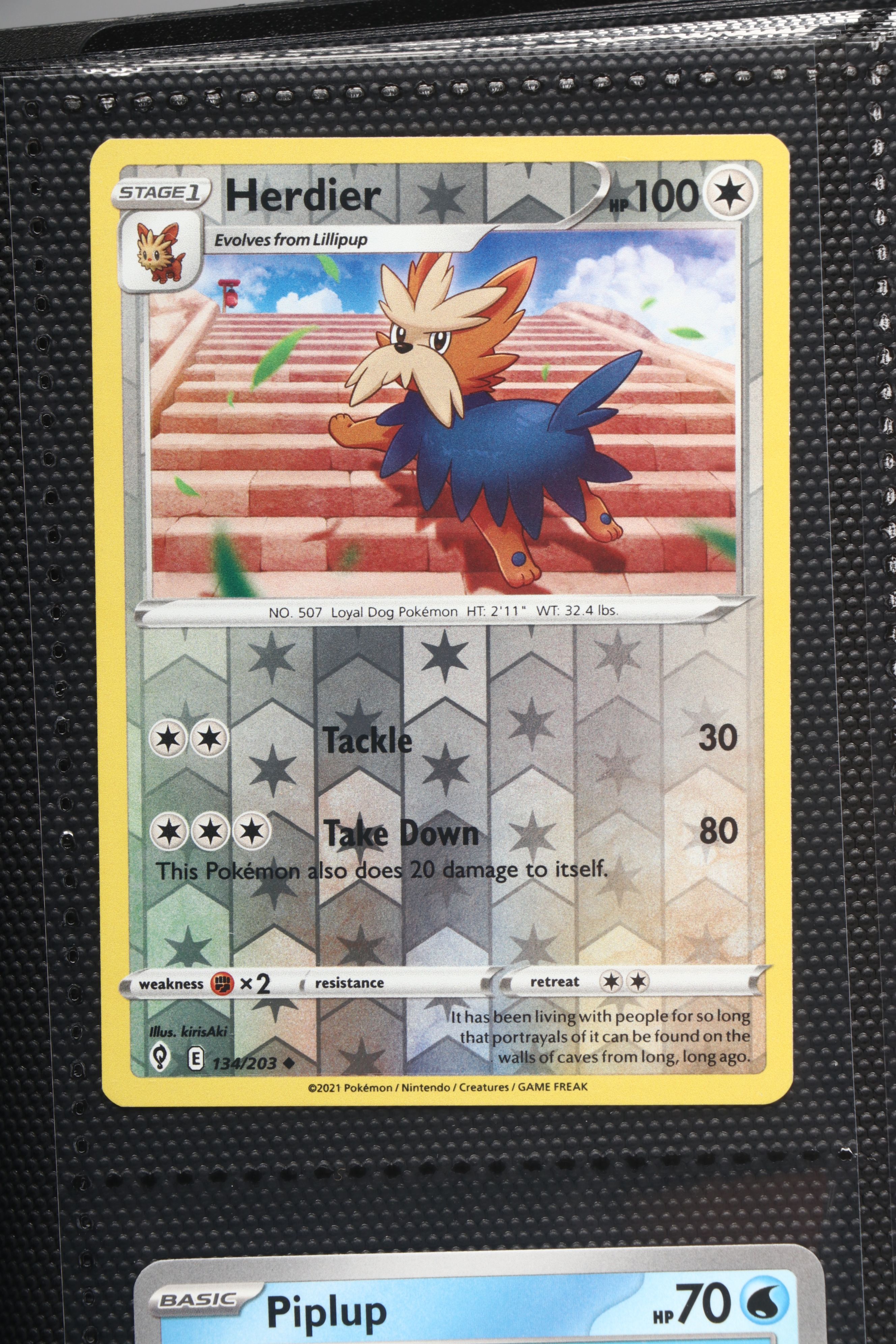 Pokémon Card Collection Featuring Holos, Trainers and More, 2000s-2020s