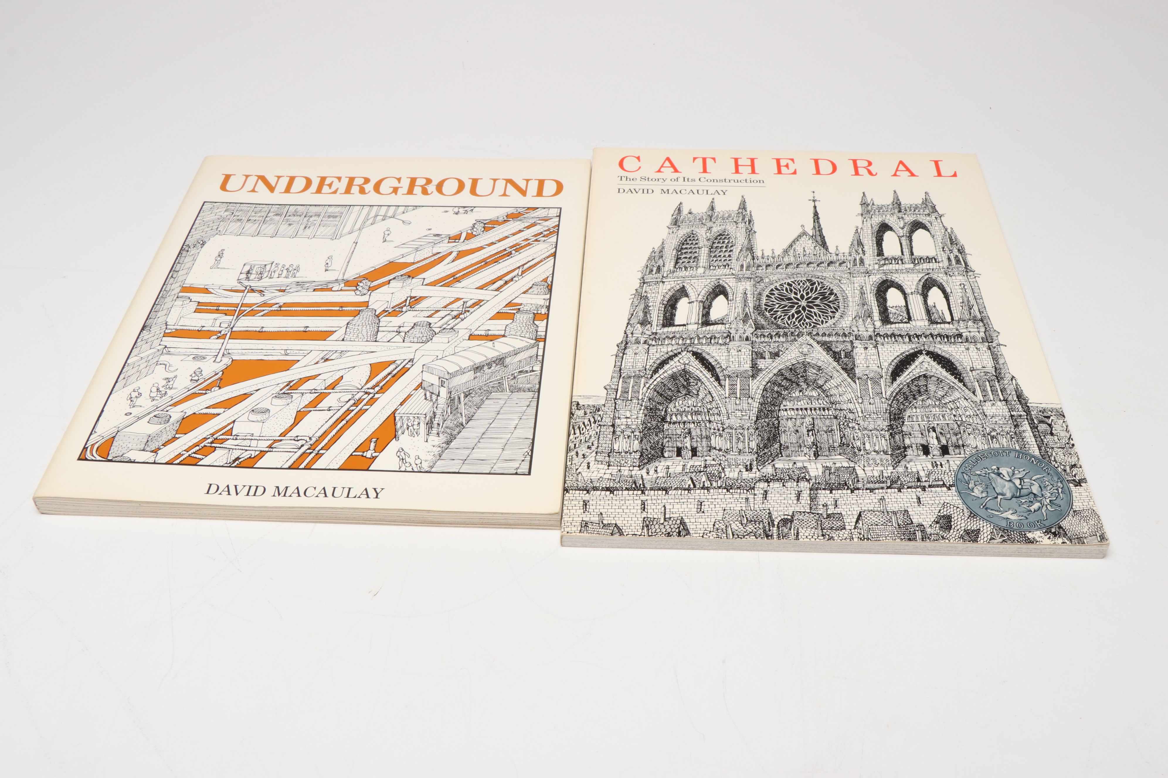 "Cathedral" and More Architecture Nonfiction Books by David Macaulay