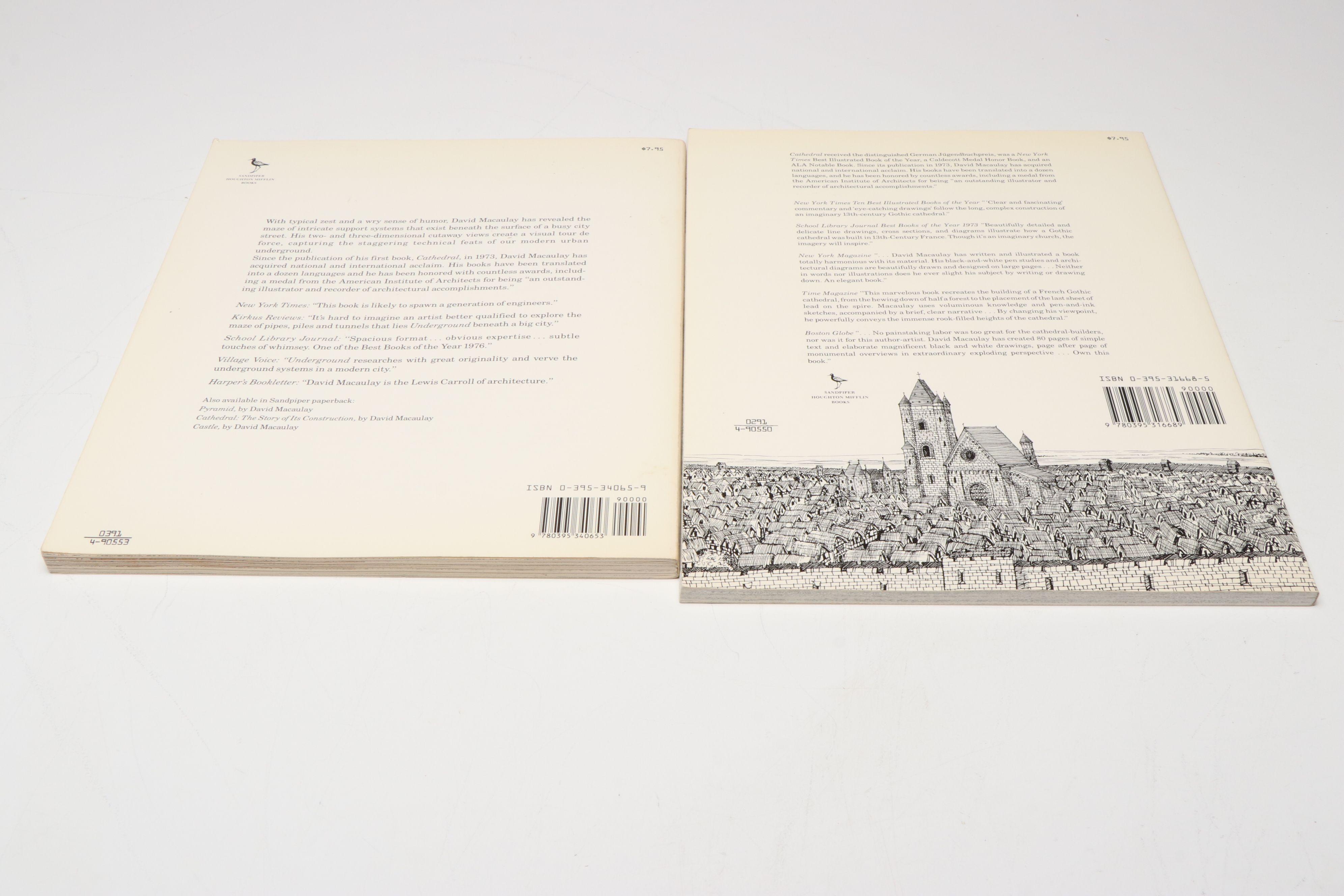 "Cathedral" and More Architecture Nonfiction Books by David Macaulay