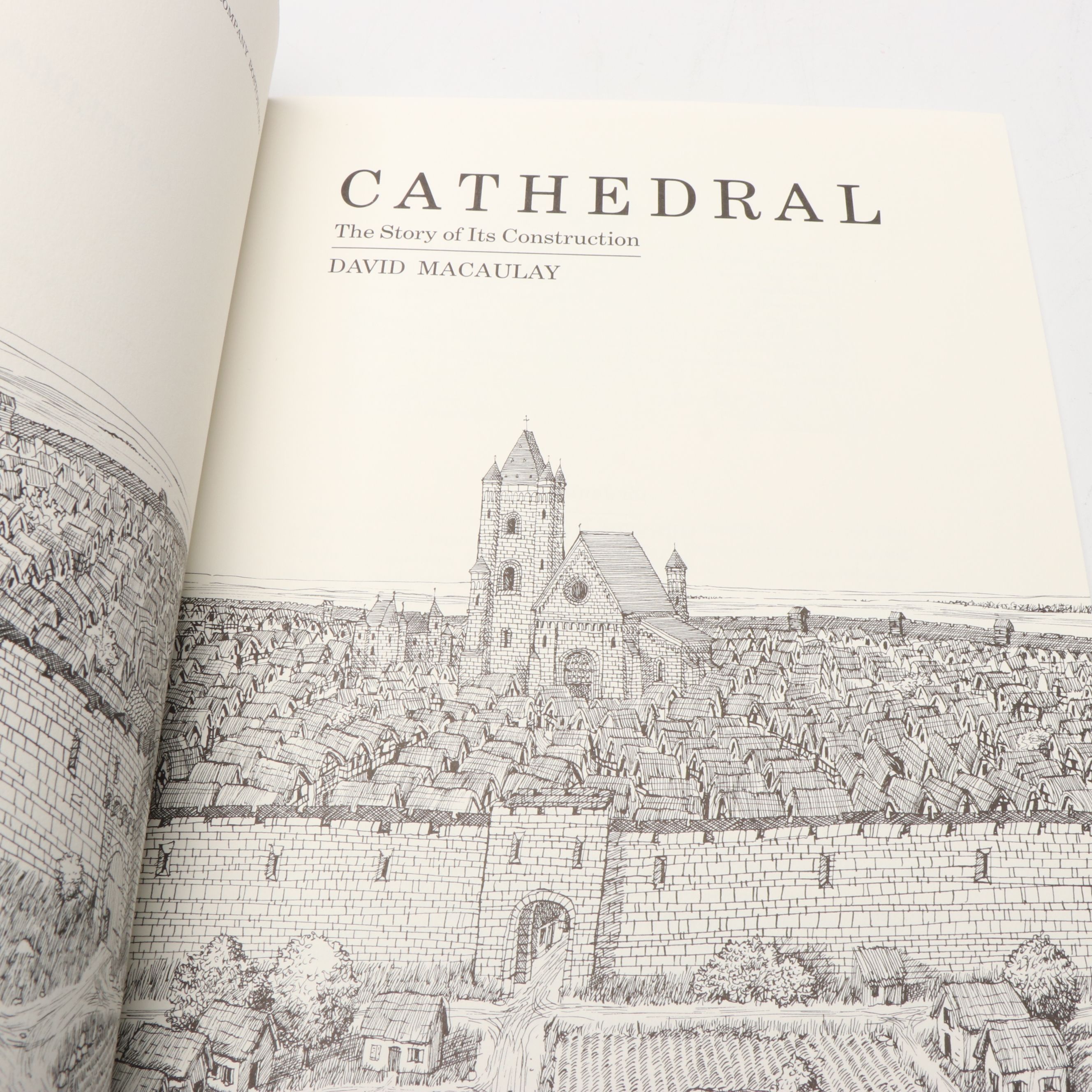 "Cathedral" and More Architecture Nonfiction Books by David Macaulay
