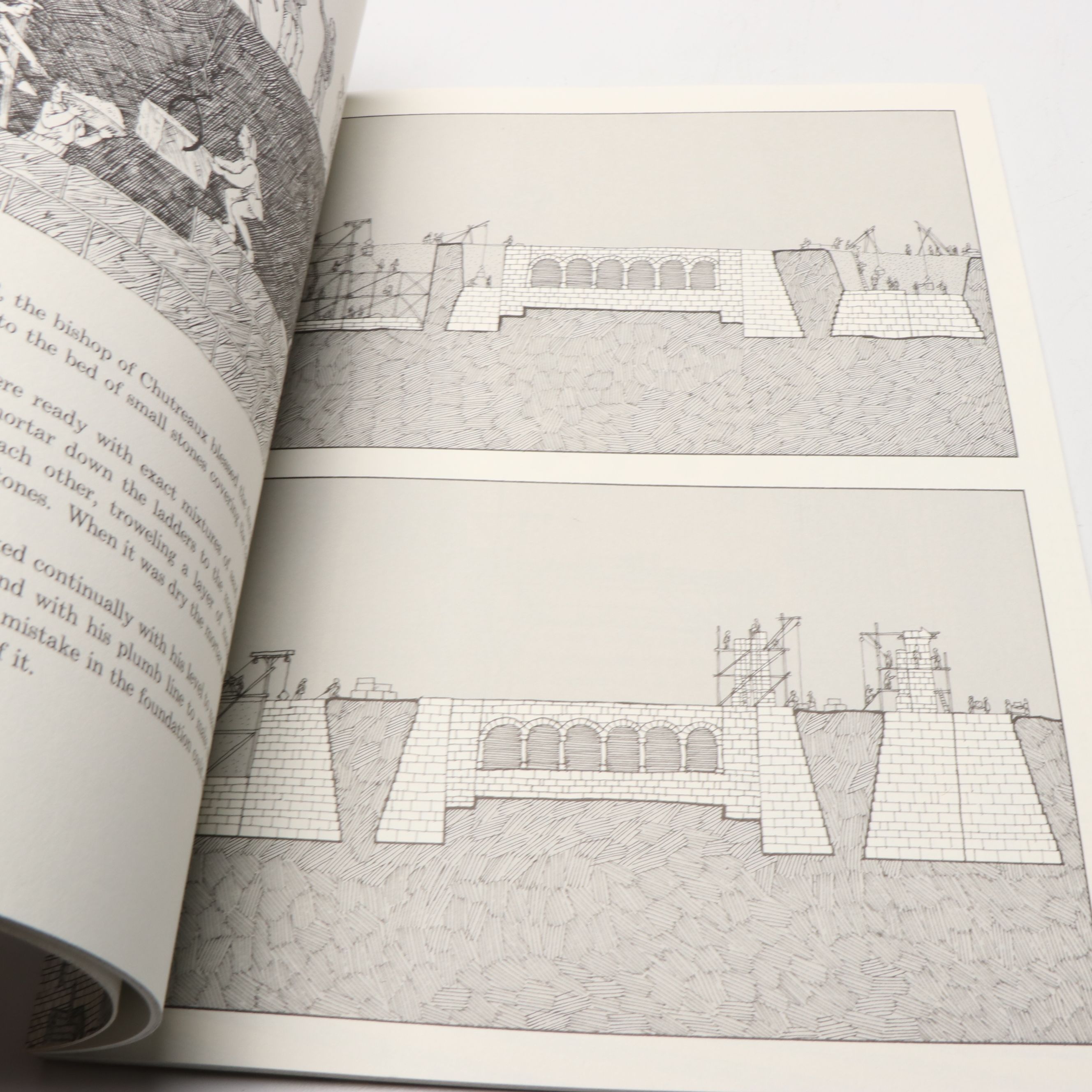 "Cathedral" and More Architecture Nonfiction Books by David Macaulay