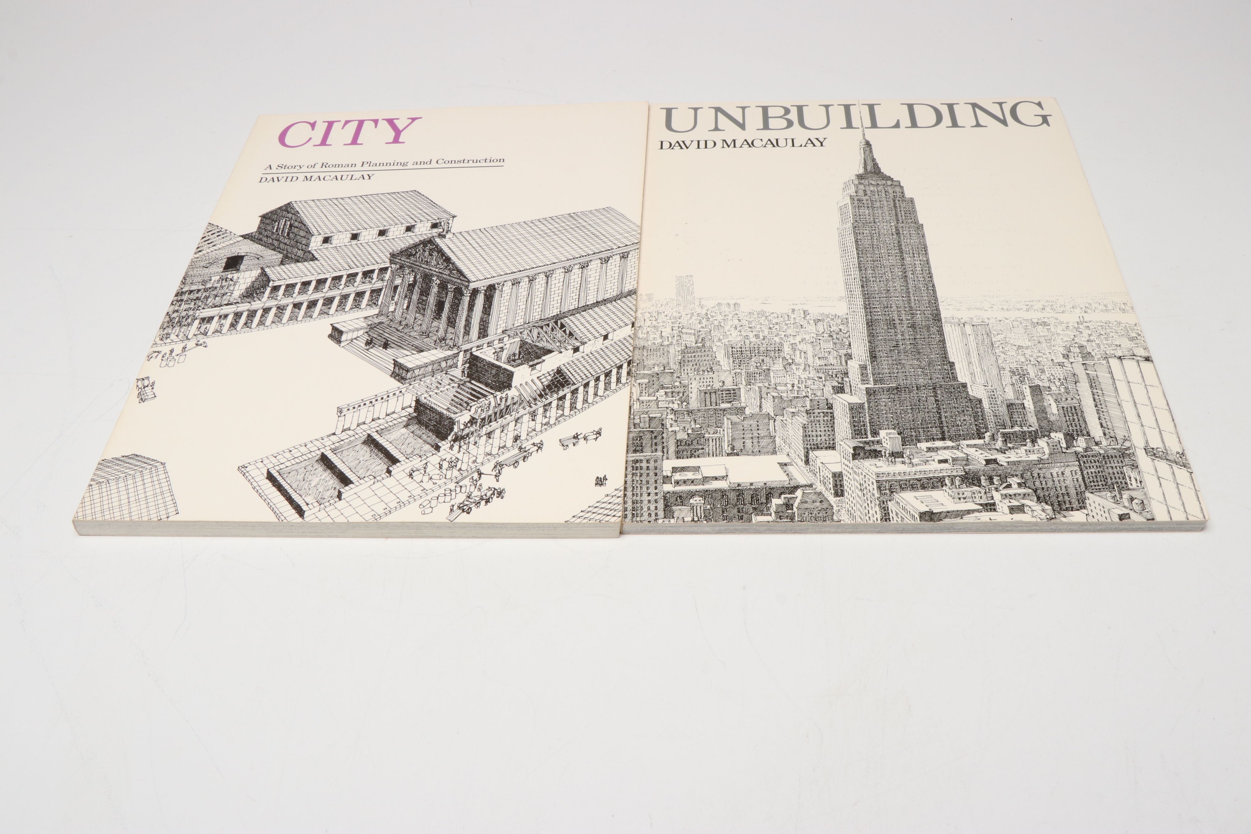 "Cathedral" and More Architecture Nonfiction Books by David Macaulay