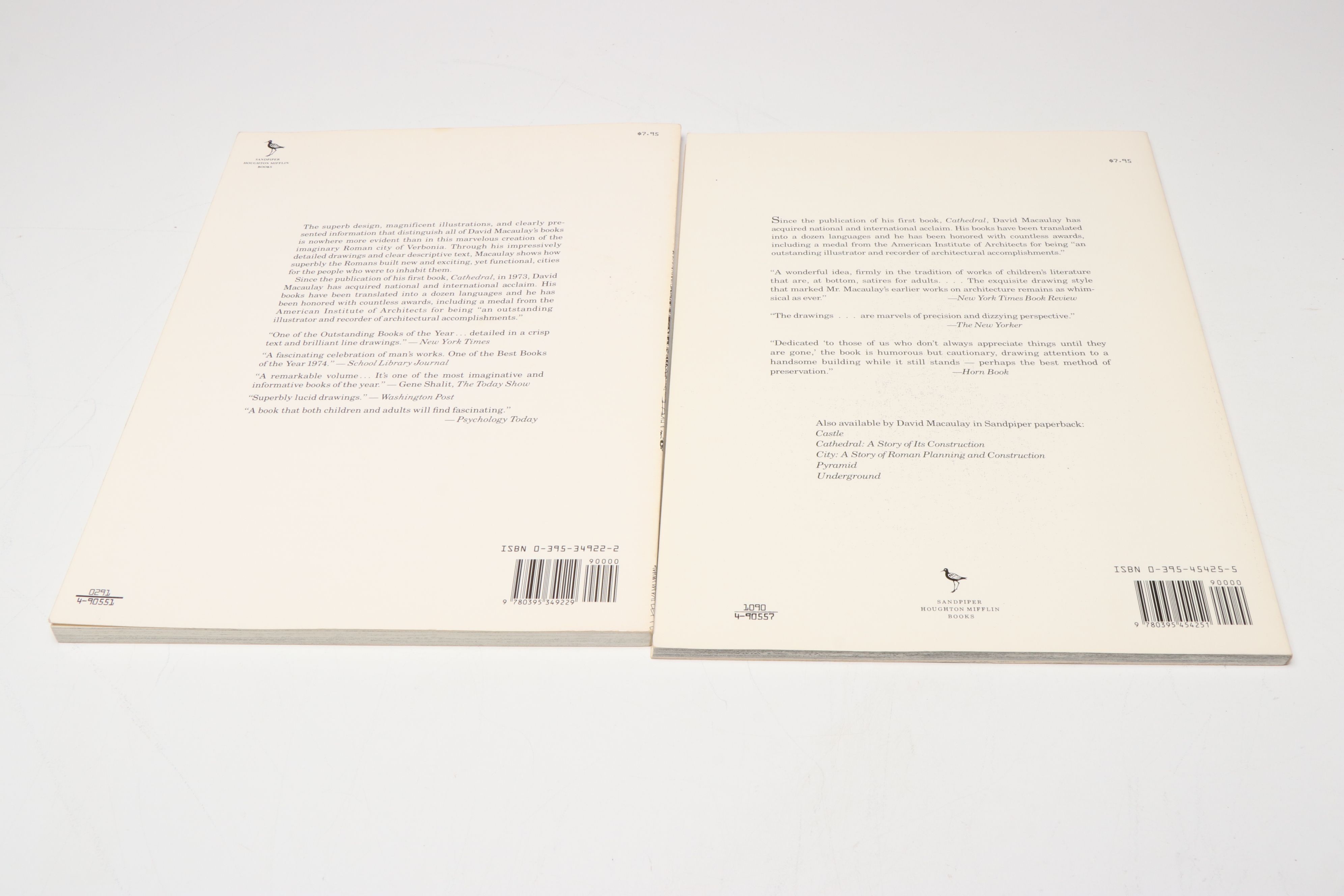 "Cathedral" and More Architecture Nonfiction Books by David Macaulay