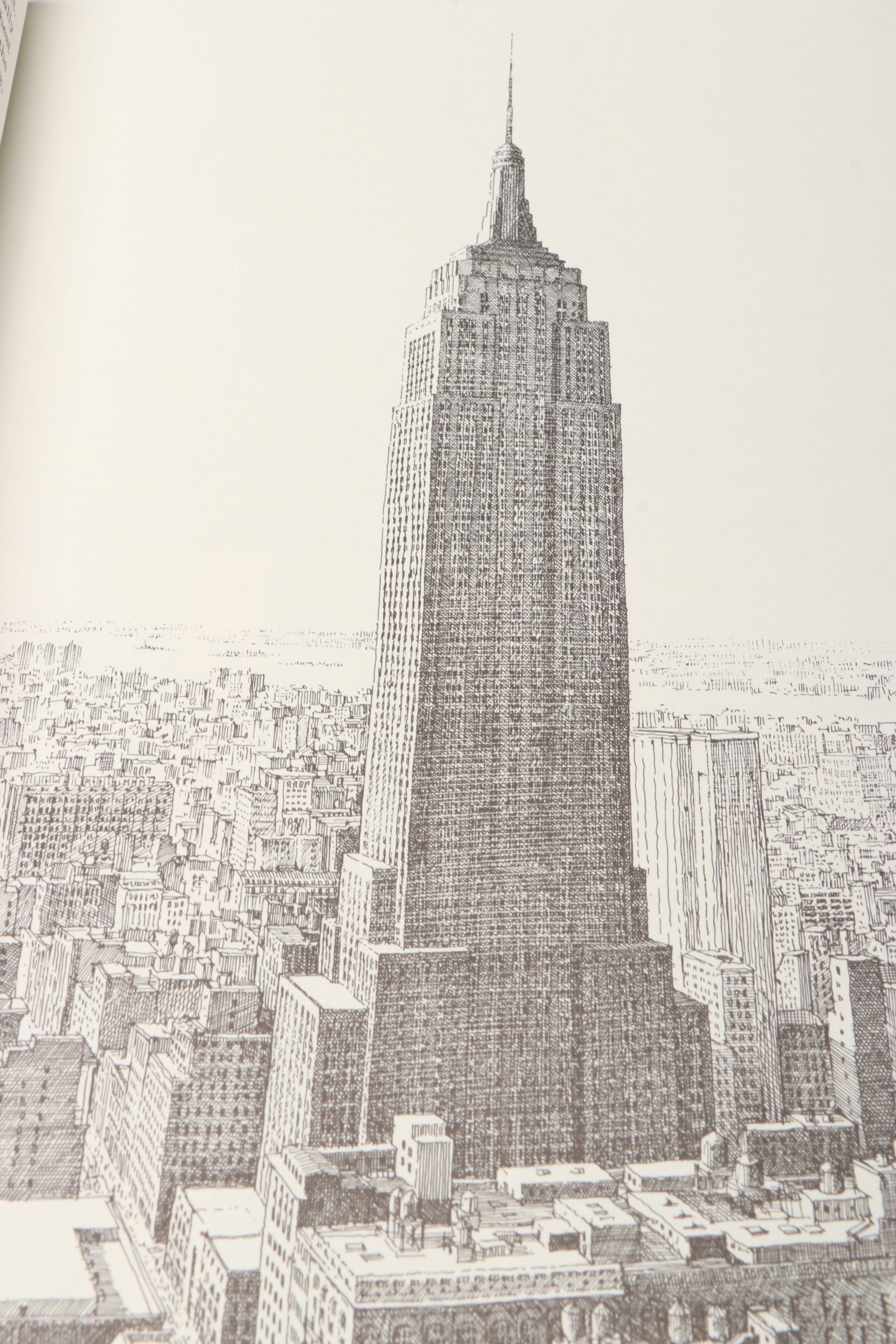 "Cathedral" and More Architecture Nonfiction Books by David Macaulay