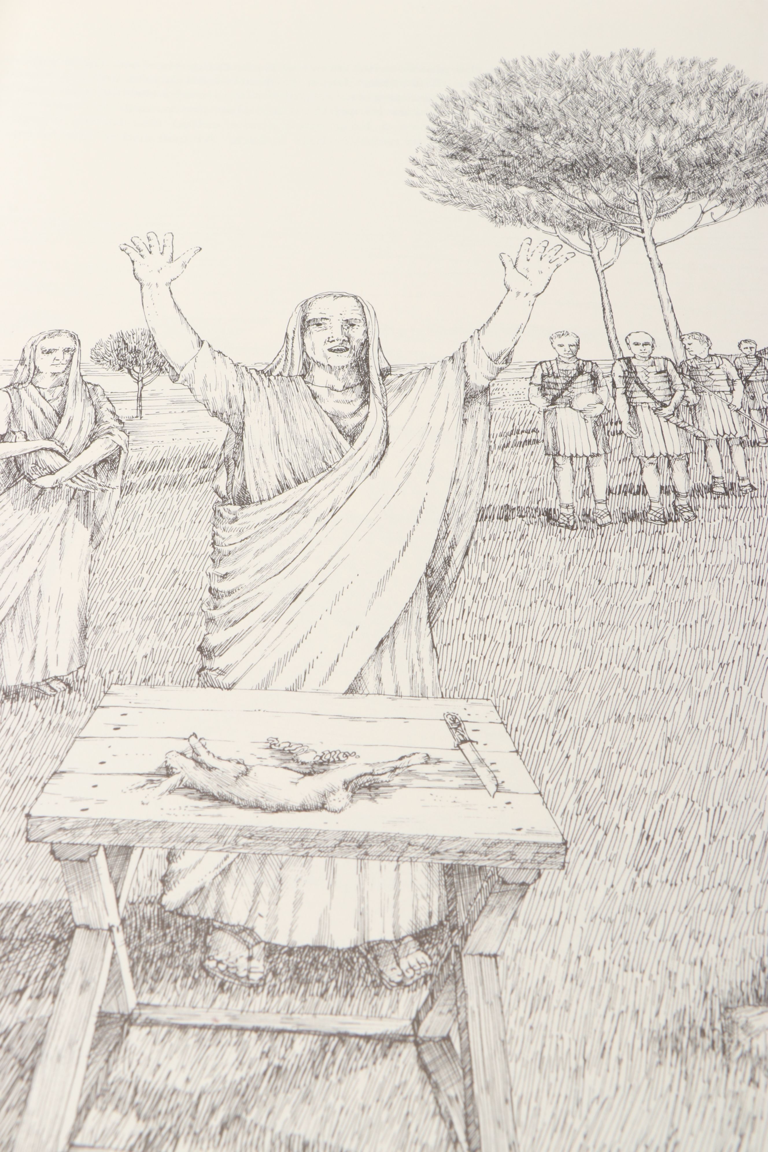 "Cathedral" and More Architecture Nonfiction Books by David Macaulay