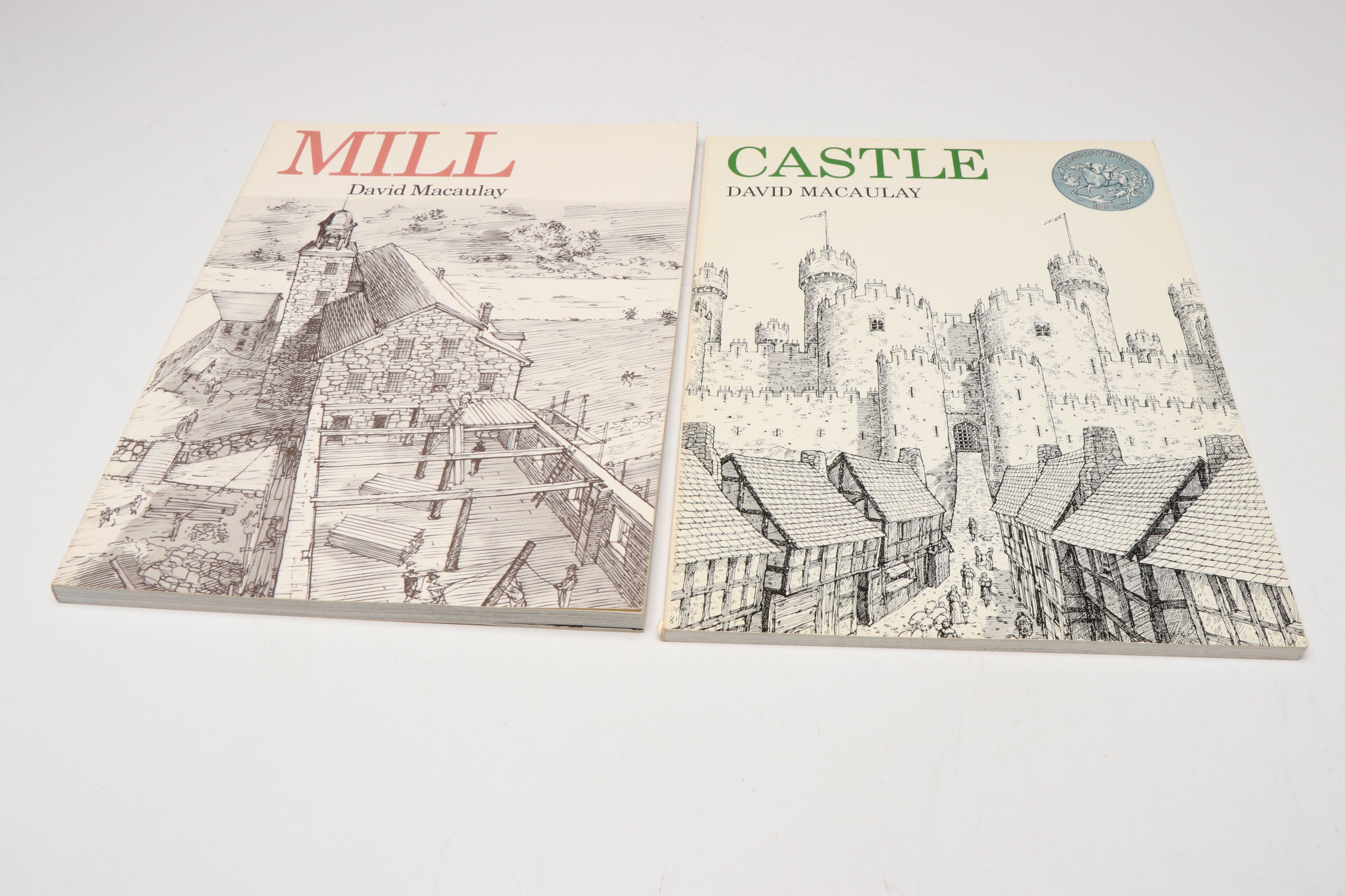 "Cathedral" and More Architecture Nonfiction Books by David Macaulay