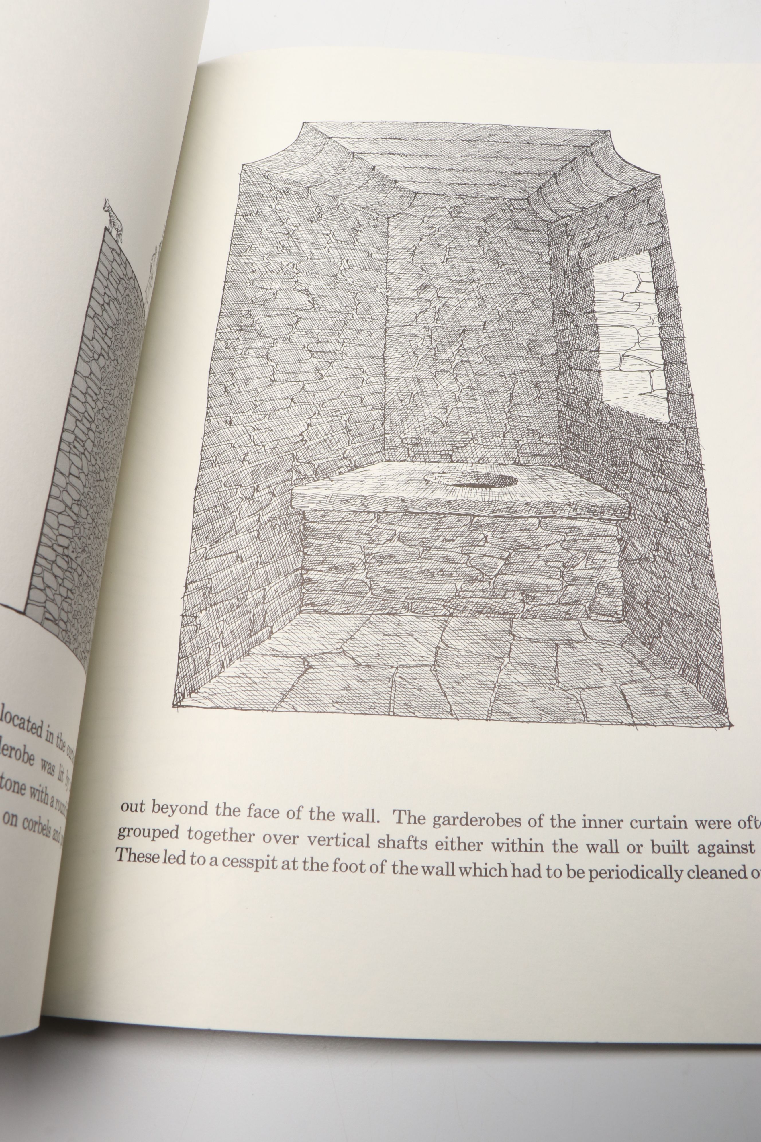 "Cathedral" and More Architecture Nonfiction Books by David Macaulay