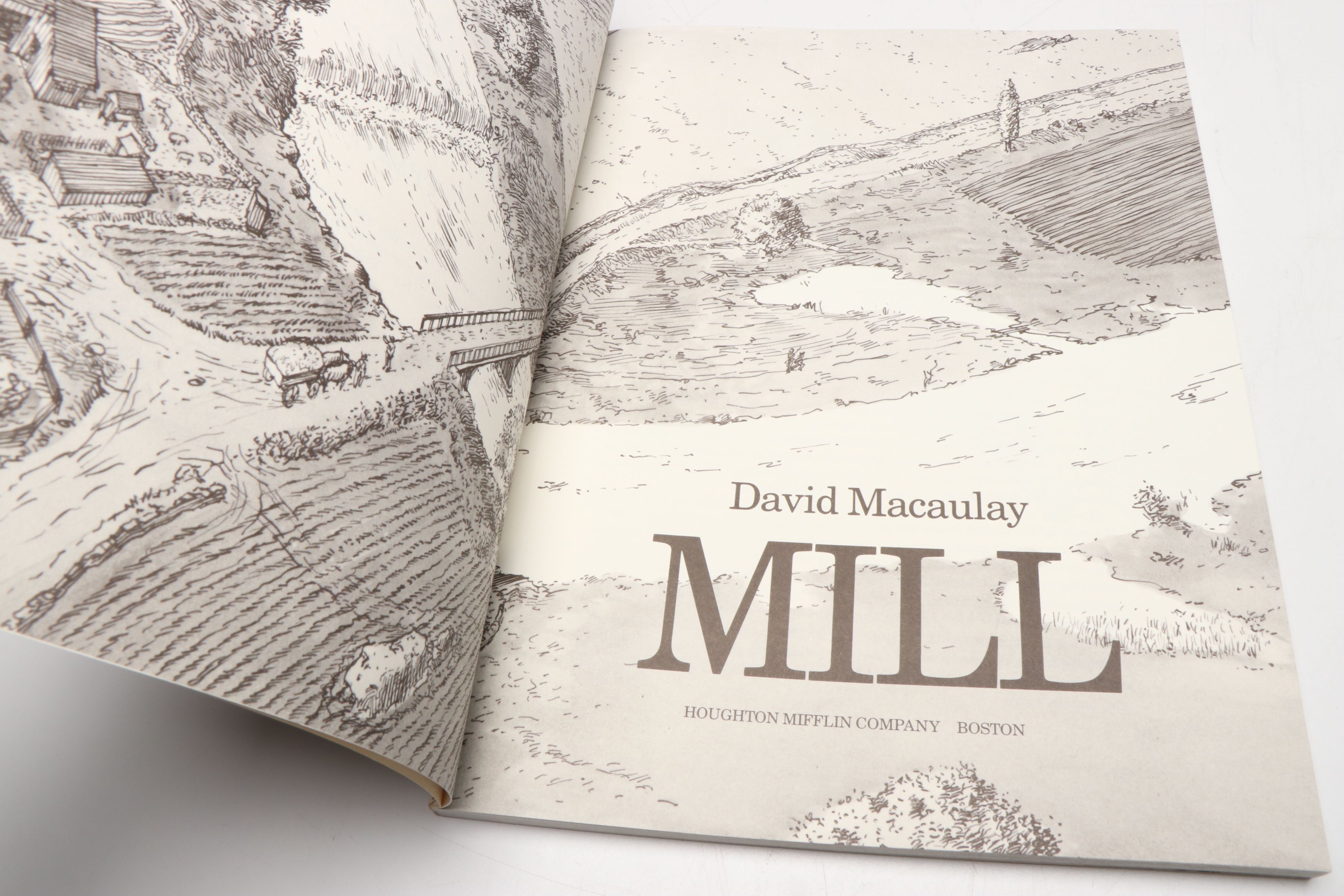 "Cathedral" and More Architecture Nonfiction Books by David Macaulay