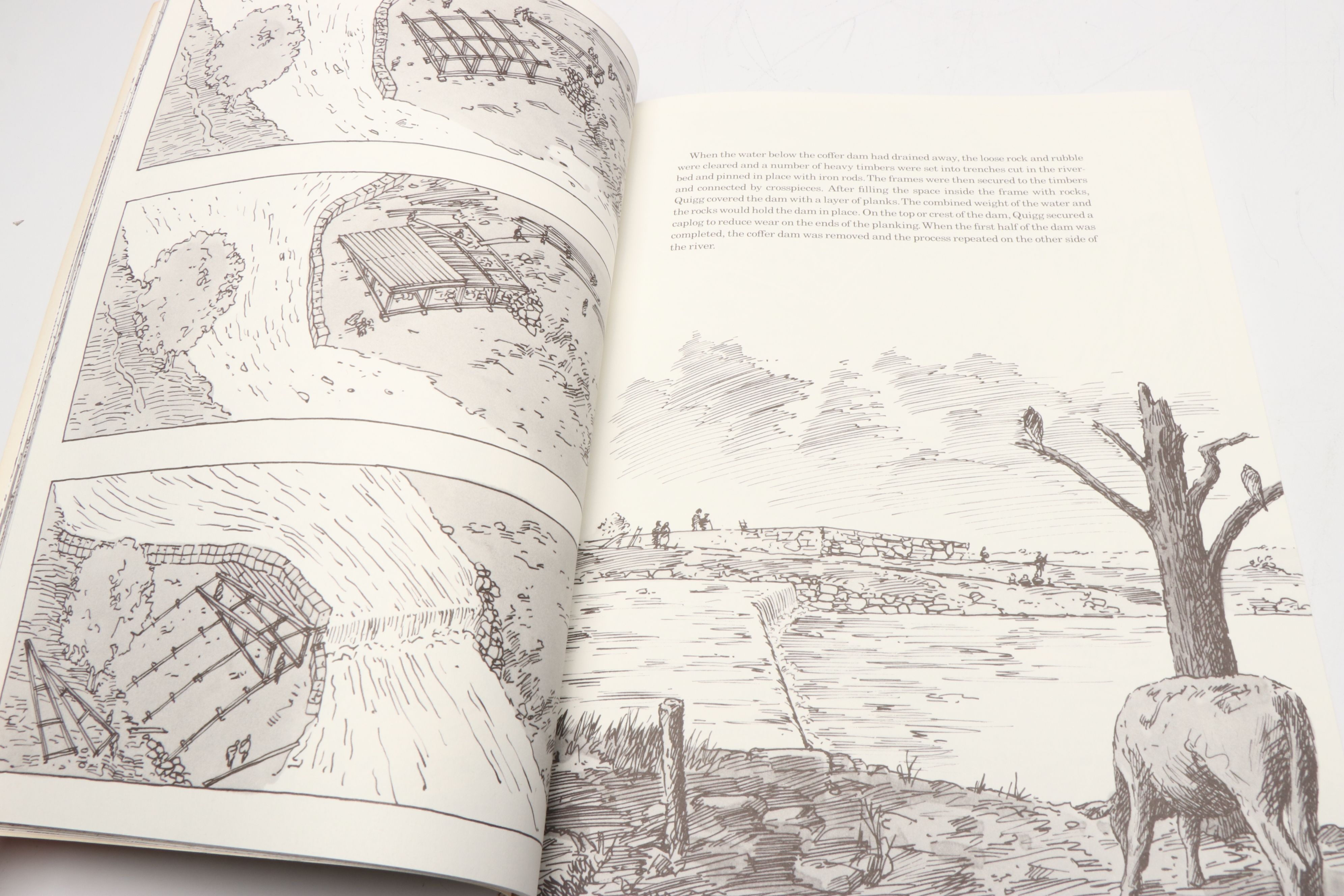 "Cathedral" and More Architecture Nonfiction Books by David Macaulay