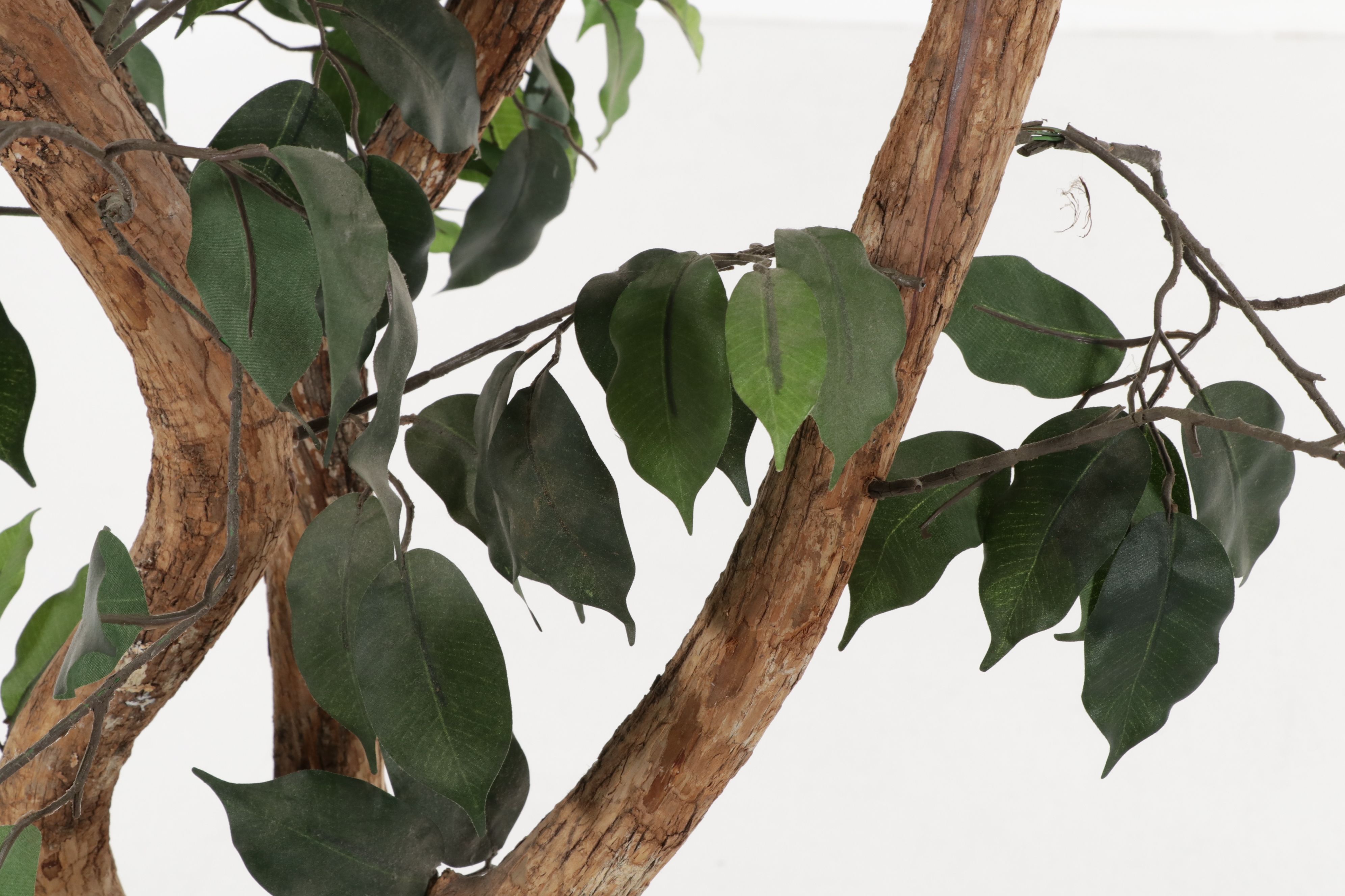 Artificial Ficus Tree in Rattan Planter | EBTH