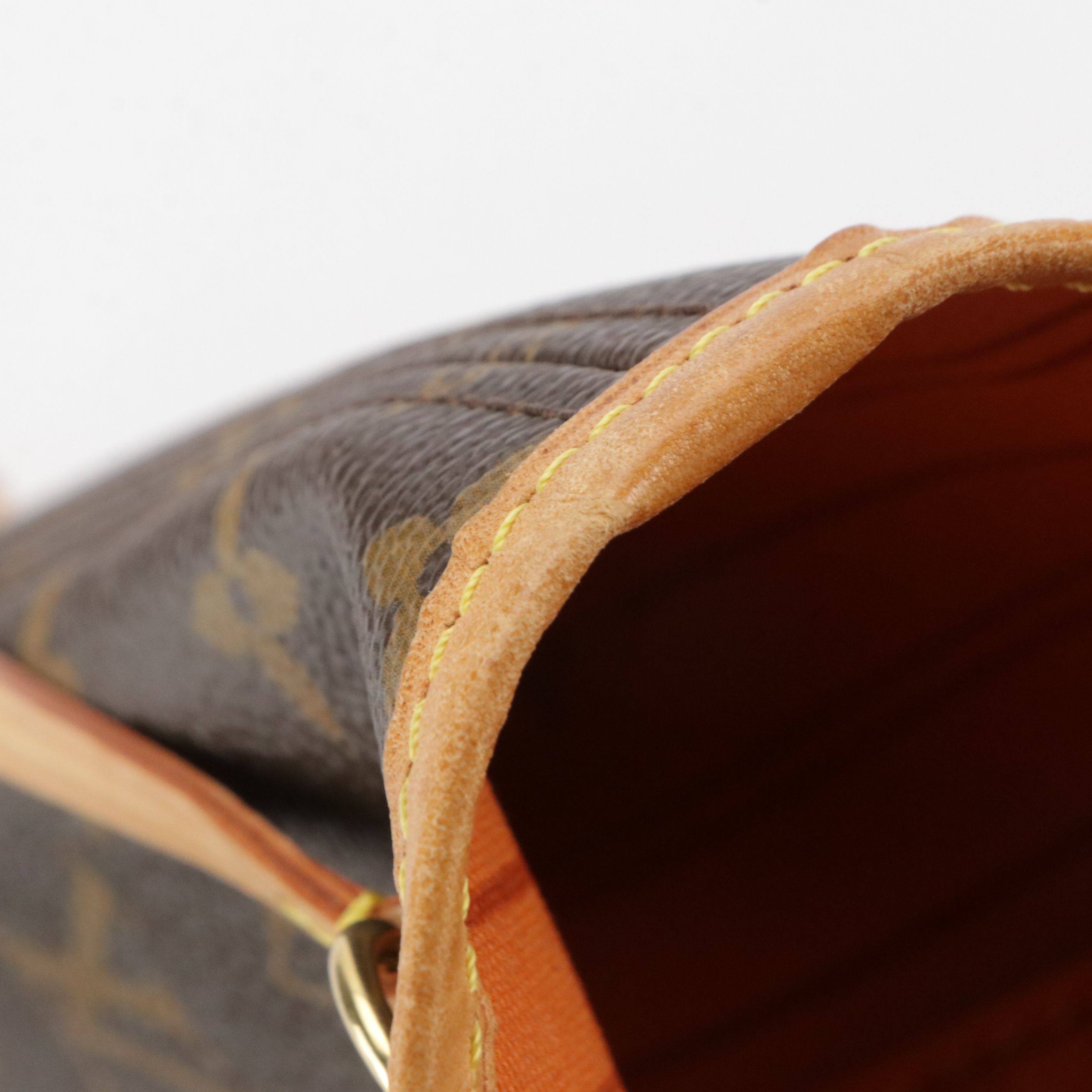 Louis Vuitton Limited Small Mon Neverfull PM Tote in Monogram Canvas and Leather