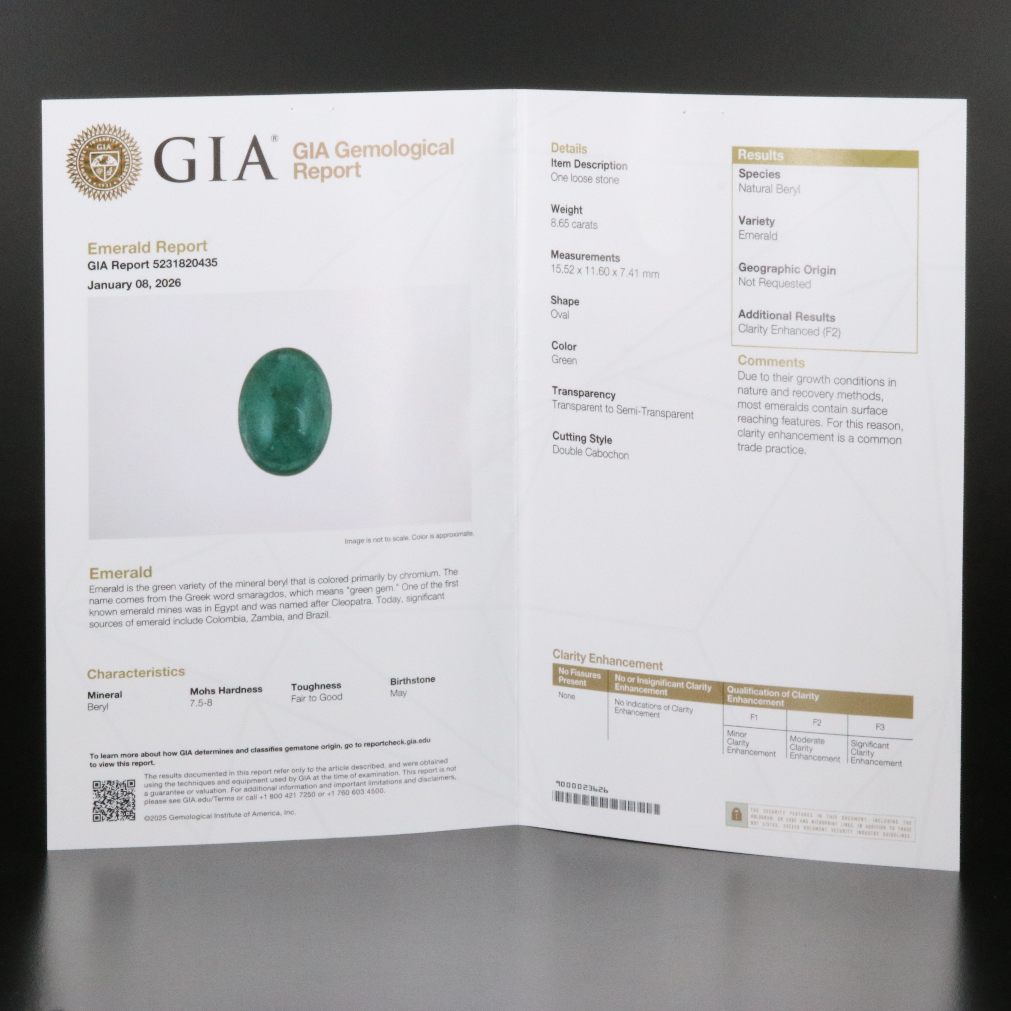 14K 8.65 CT Emerald and Diamond Pendant with 18K Bail and GIA Report