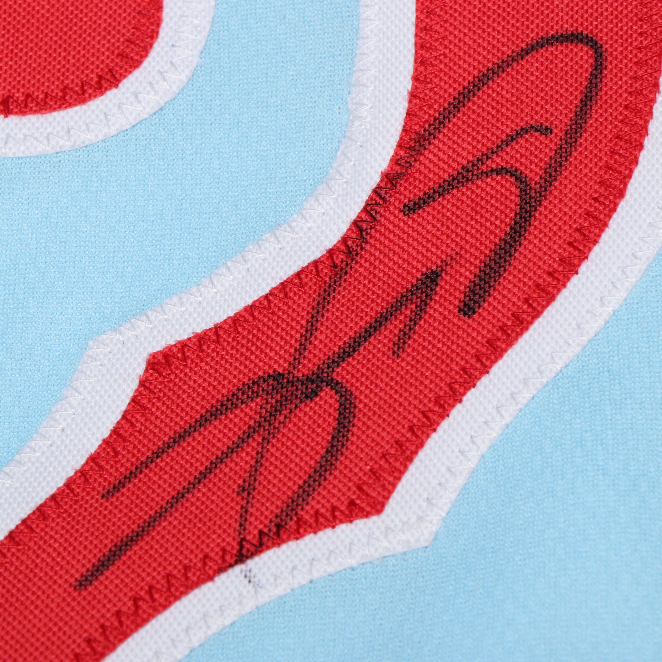 Sammy Sosa Signed Chicago Cubs Baseball Jersey, Beckett