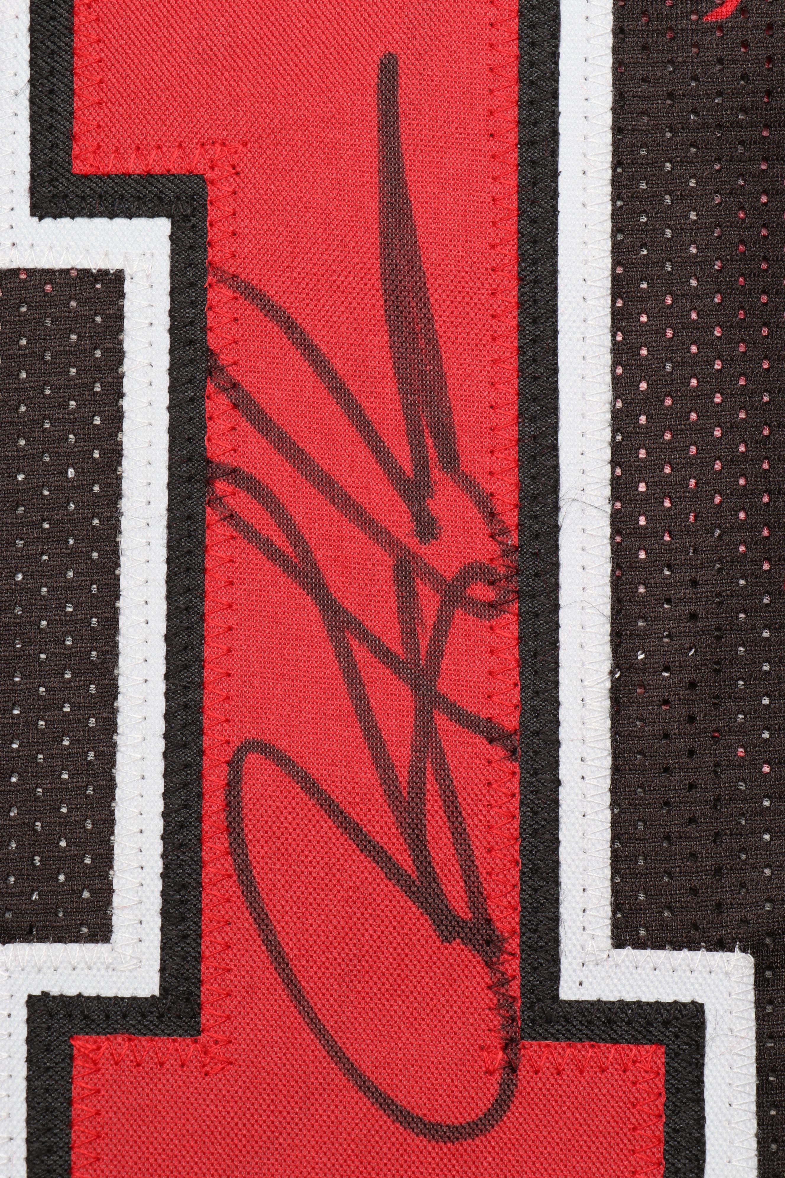 Dennis Rodman Signed Chicago Bulls Basketball Jersey, JSA