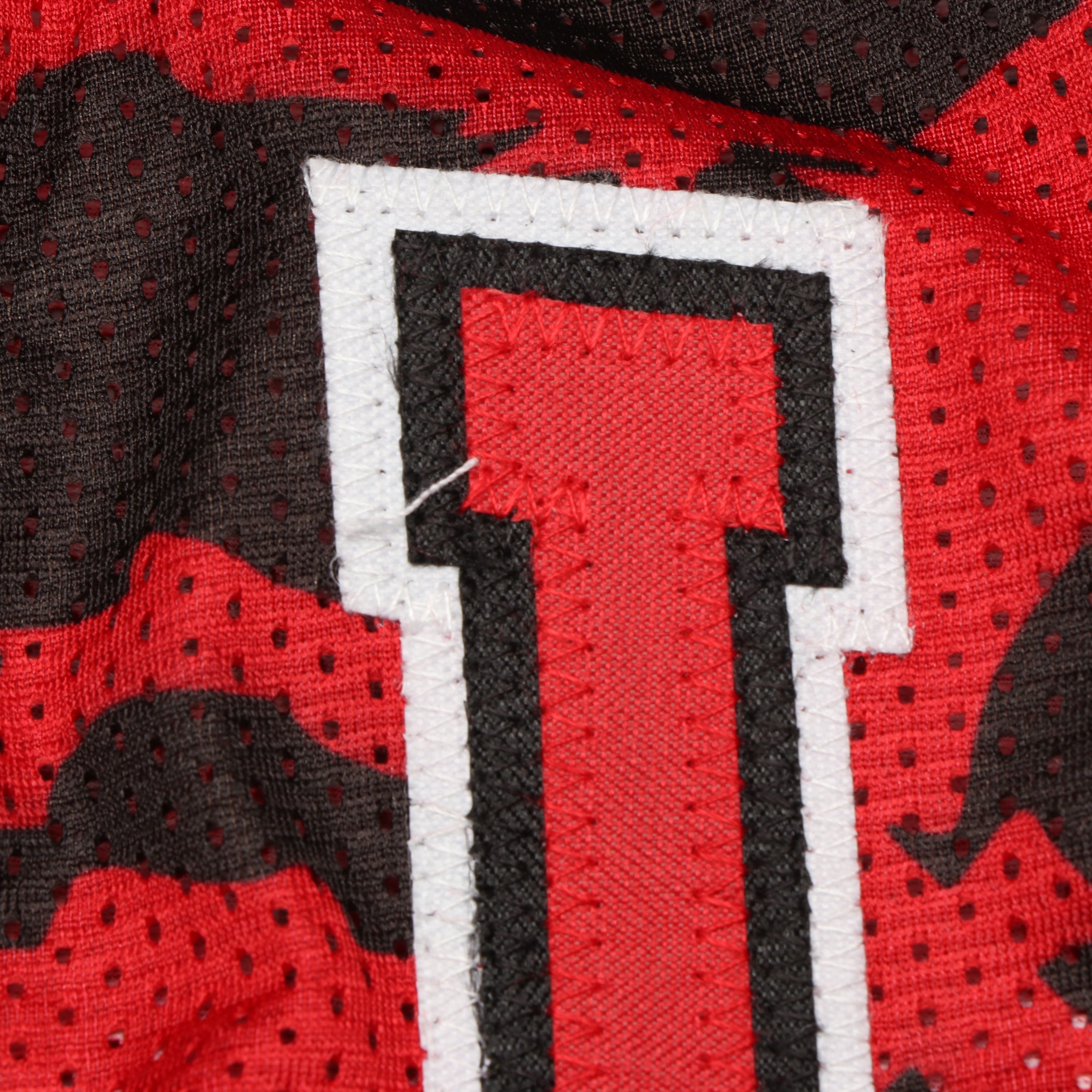 Dennis Rodman Signed Chicago Bulls Basketball Jersey, JSA