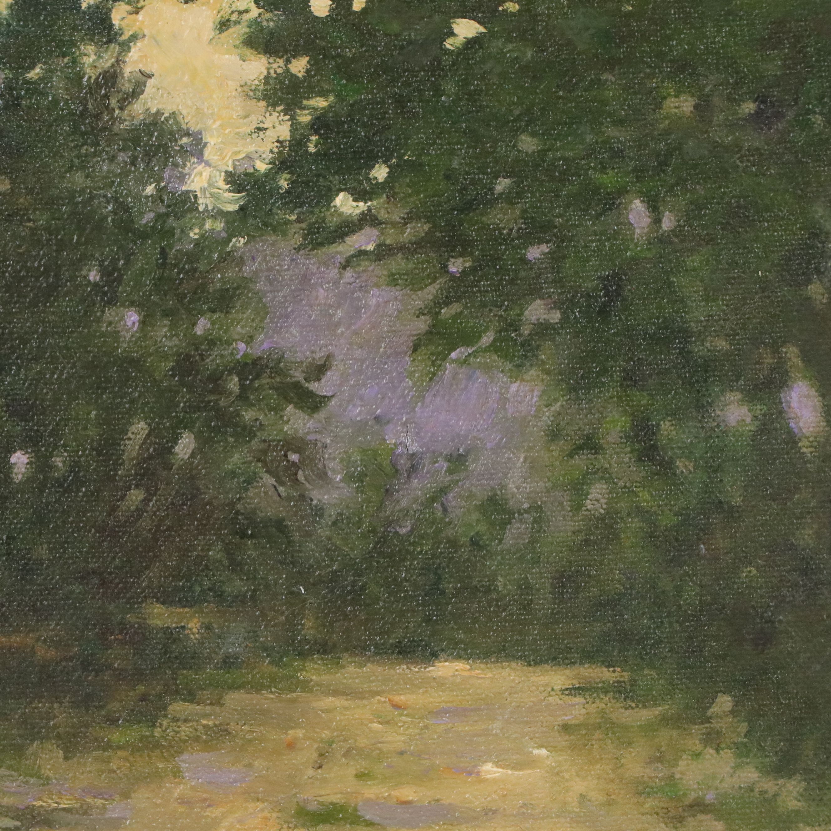 R. Michael Shannon Oil Painting of Tree-Lined Path, Late 20th/21st Century