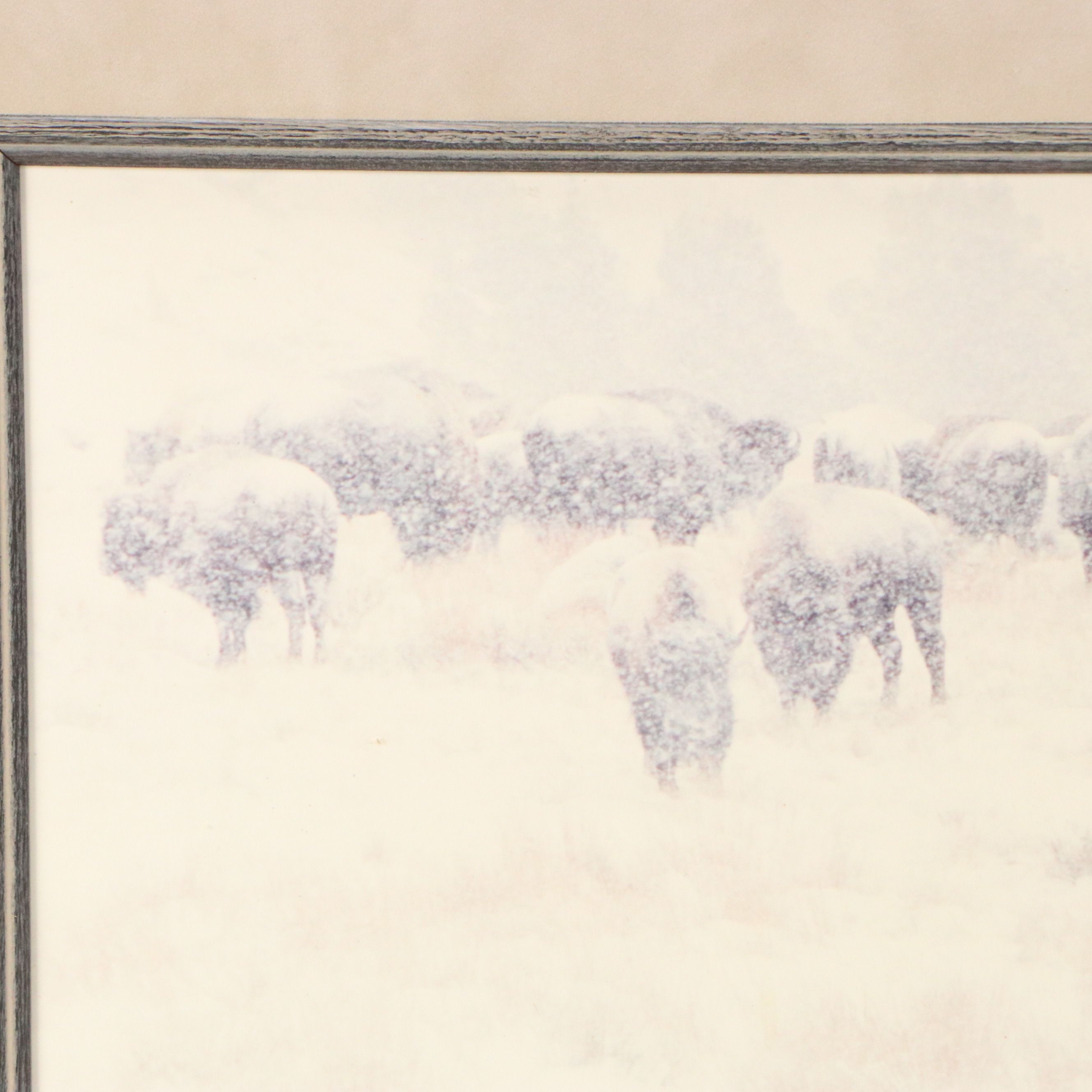 Pat Gerlach Chromogenic Photograph of Bison in Snowstorm, Late 20th Century