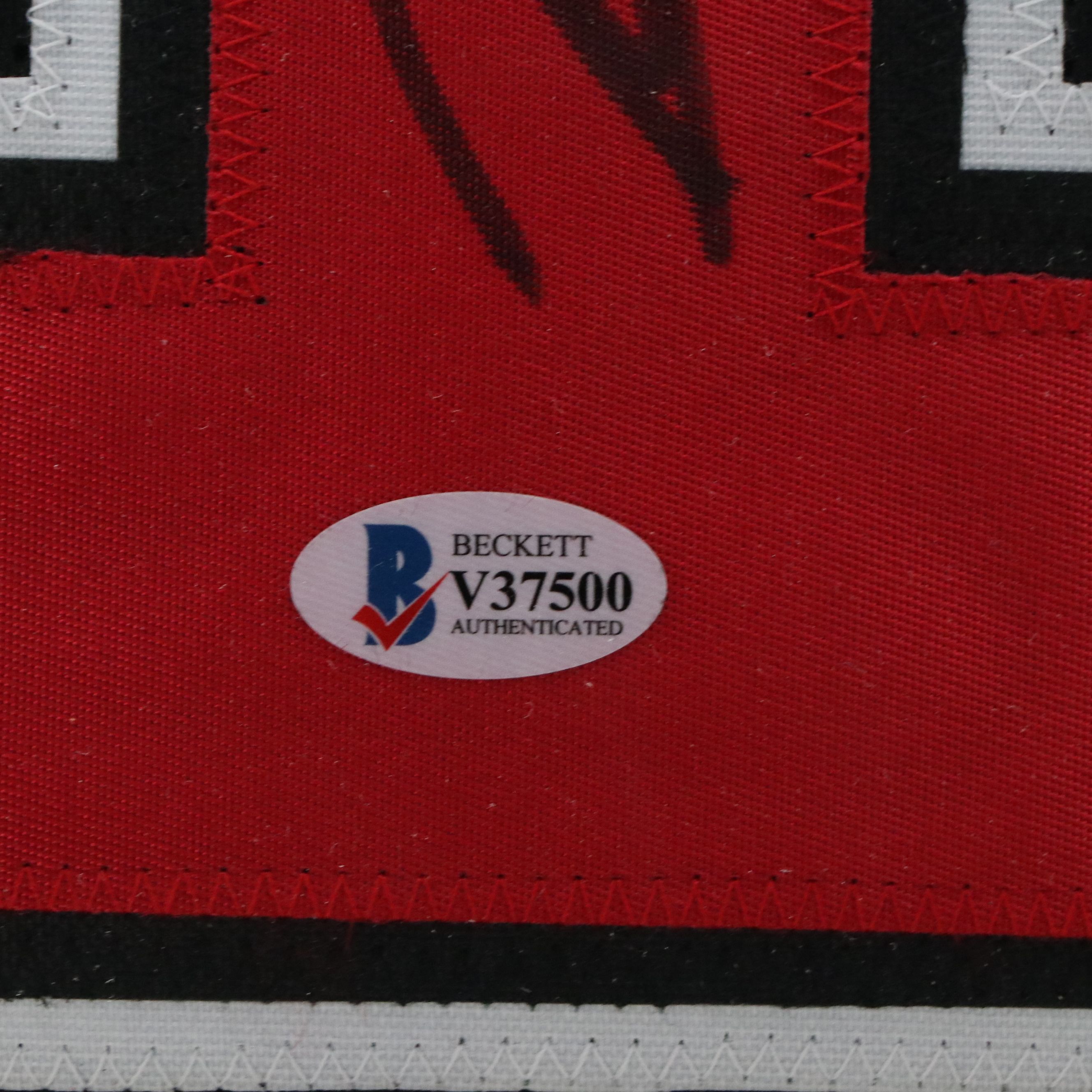 Dennis Rodman Signed Chicago Bulls Framed Basketball Jersey, Beckett