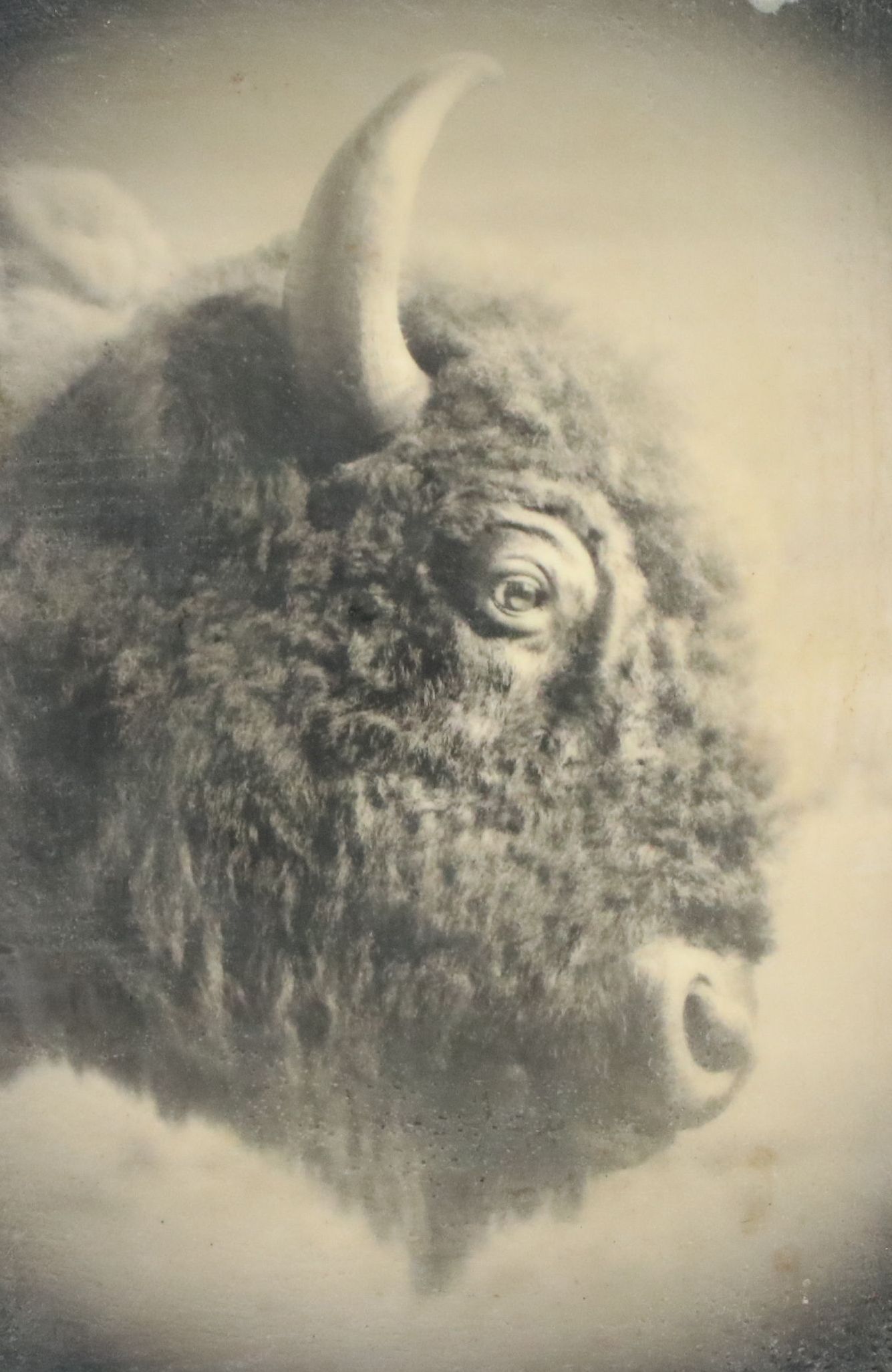 Mikel Robinson Giclée "Big Wooly," 2015