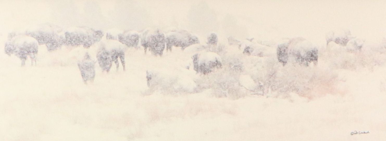 Pat Gerlach Chromogenic Photograph of Bison in Snowstorm, Late 20th Century