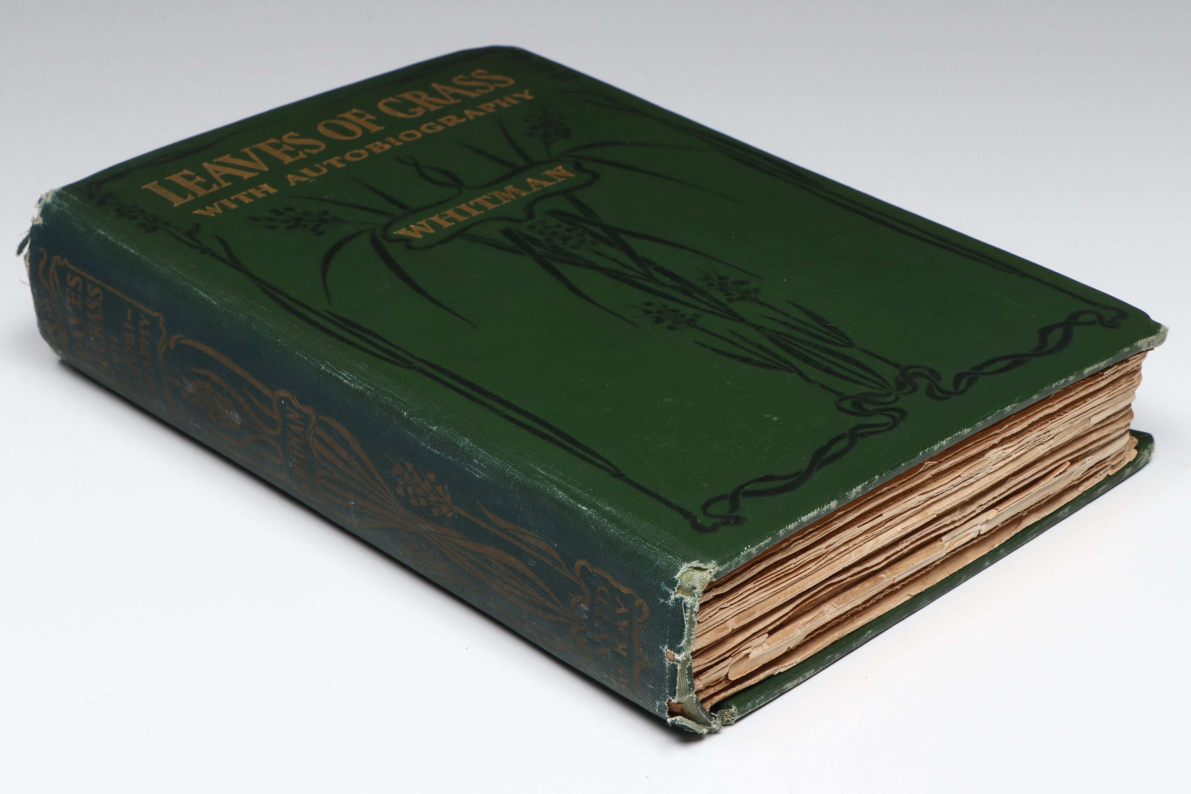 "Leaves of Grass" by Walt Whitman, 1900