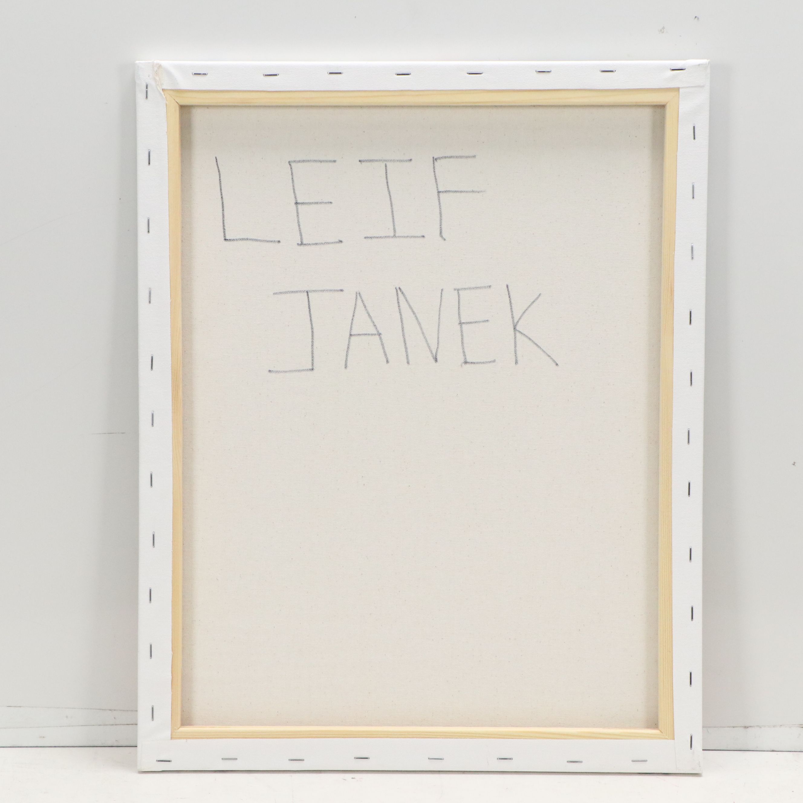 Leif Janek Abstract Acrylic Painting, 2026