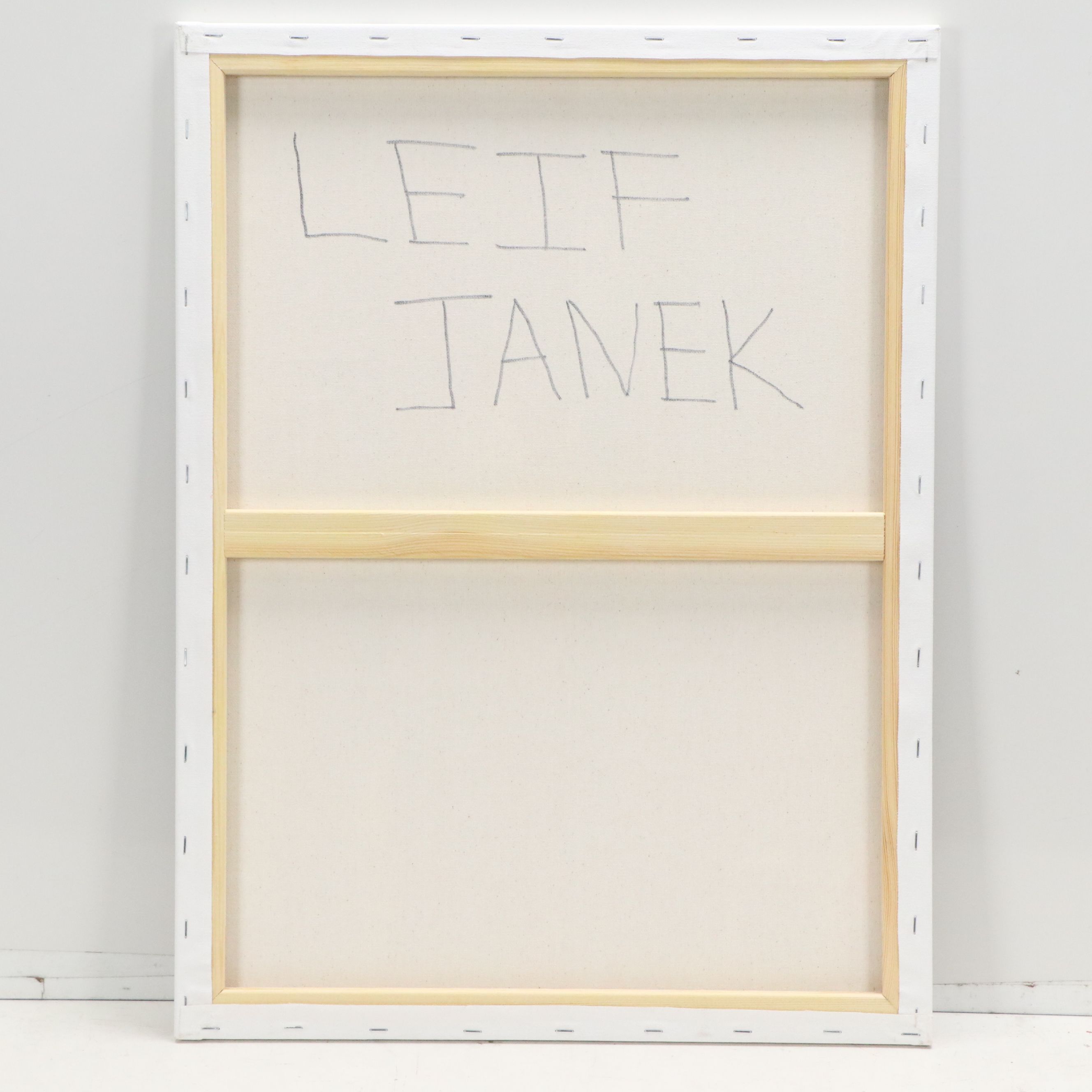 Leif Janek Abstract Acrylic Painting, 2026