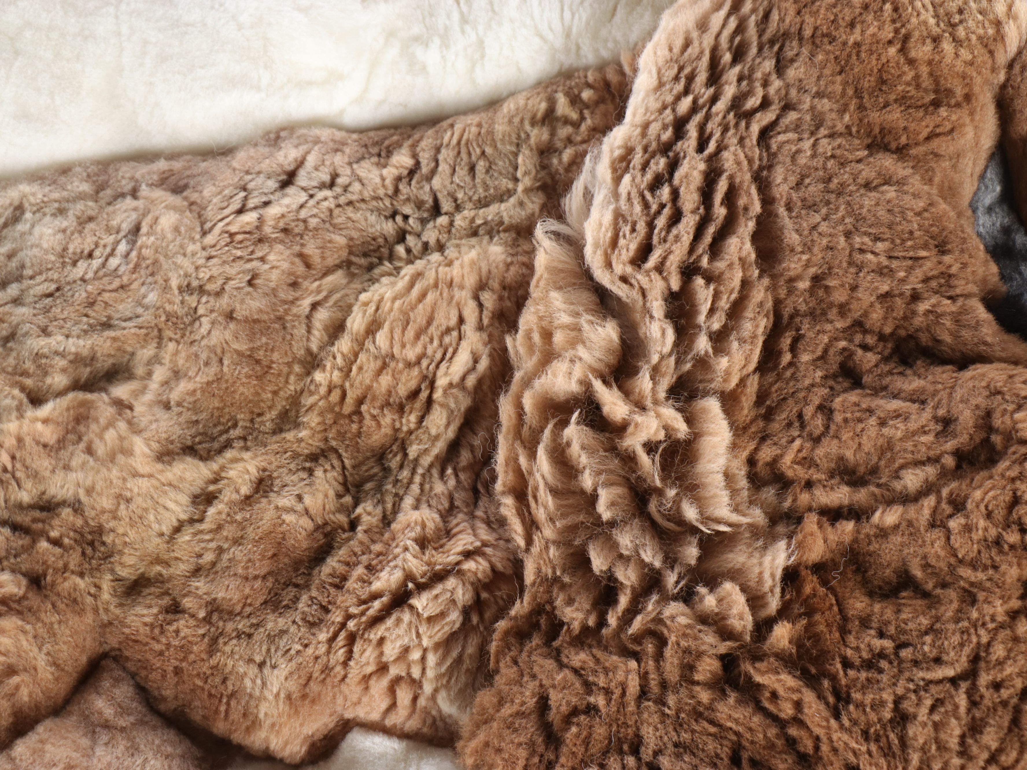 2'8 x 3'8 Handmade Patchwork Shearling Buffalo Pictorial Accent Rug