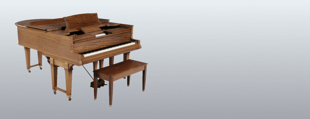 Elegance for Everyone