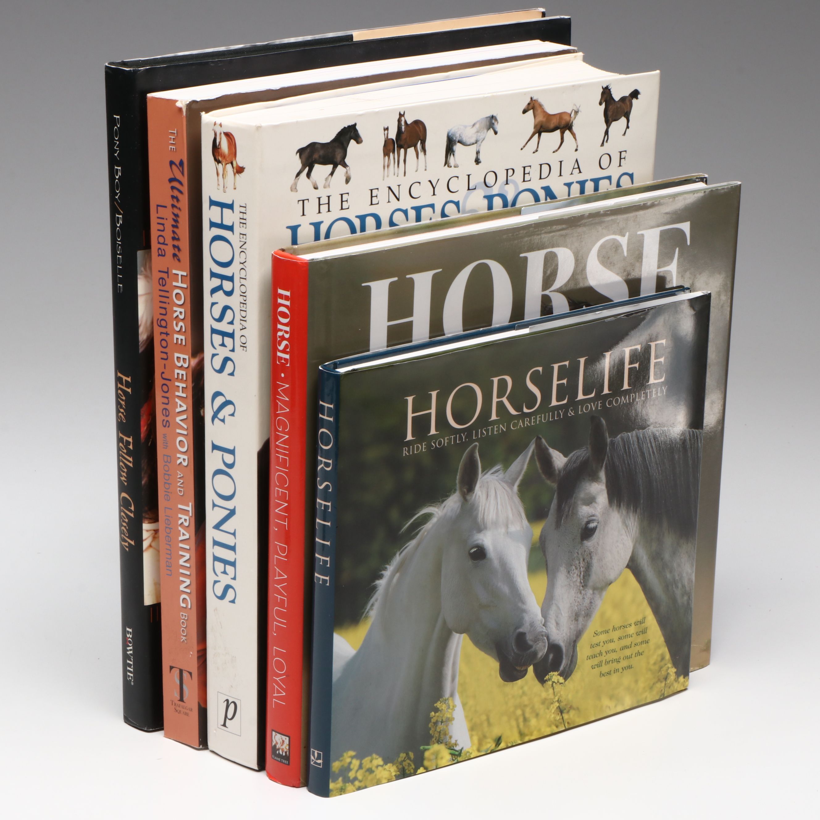 First Printing "Horse: Magnificent, Playful, Loyal" and More Horse Books