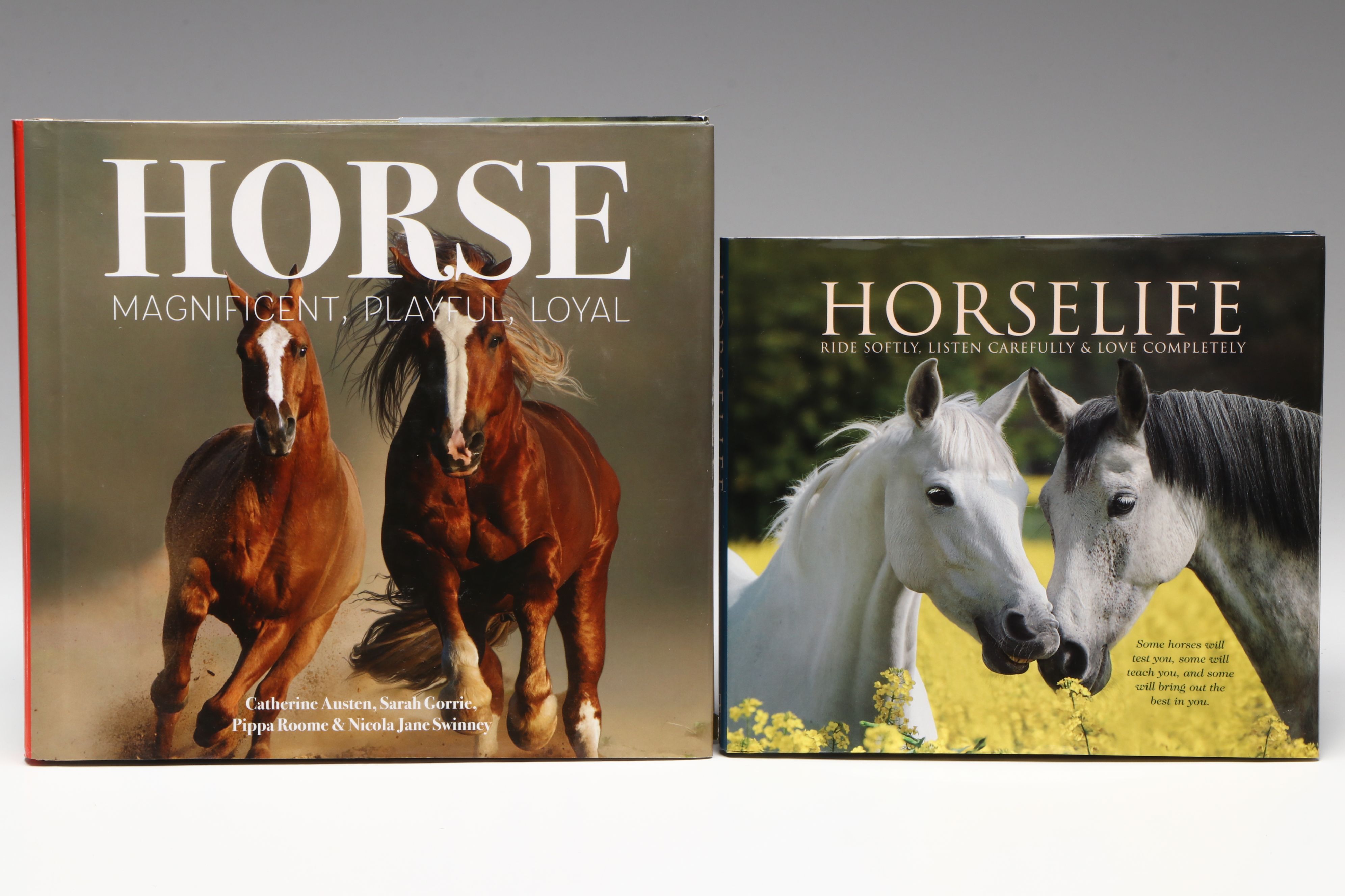 First Printing "Horse: Magnificent, Playful, Loyal" and More Horse Books