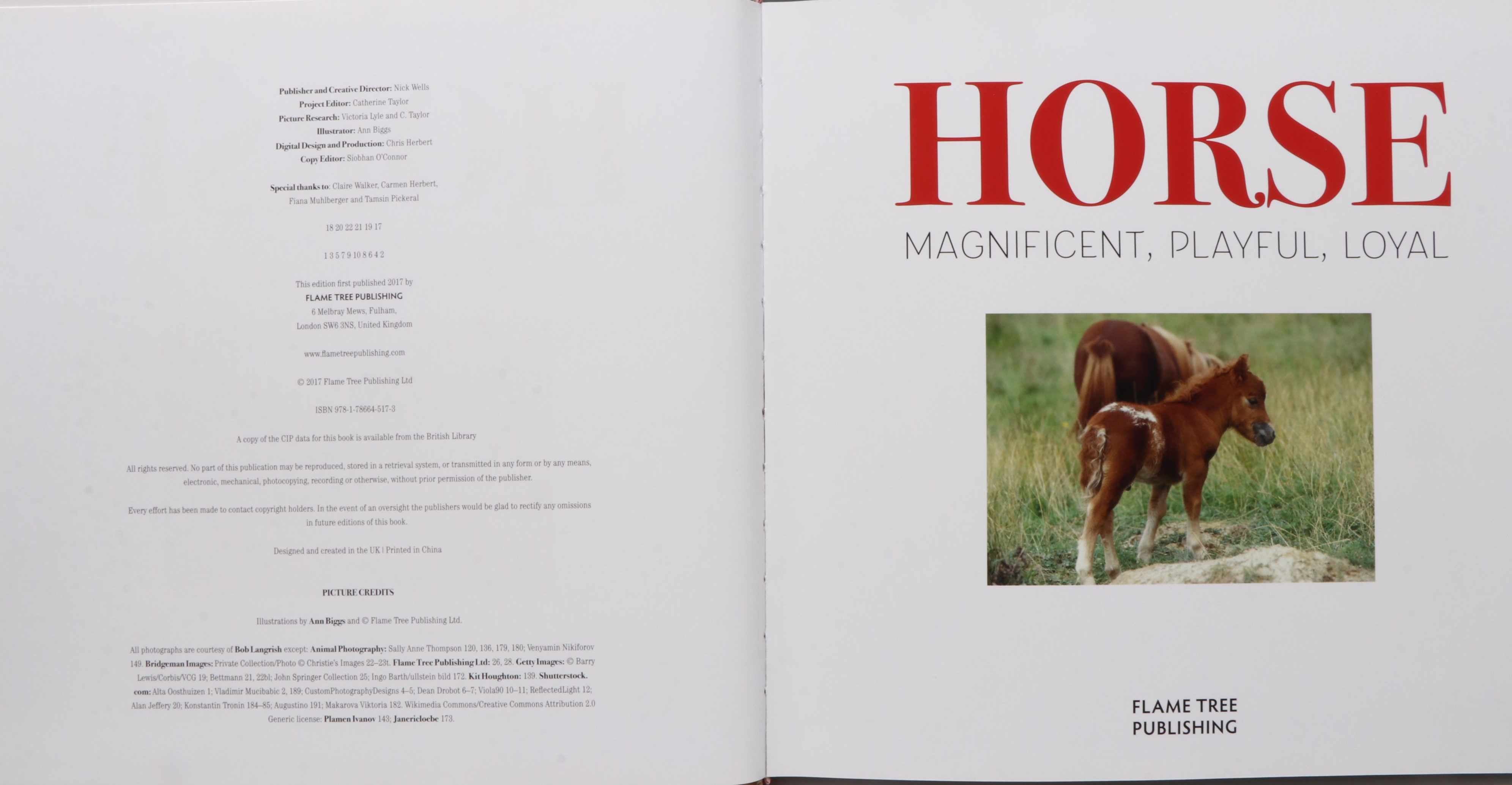 First Printing "Horse: Magnificent, Playful, Loyal" and More Horse Books