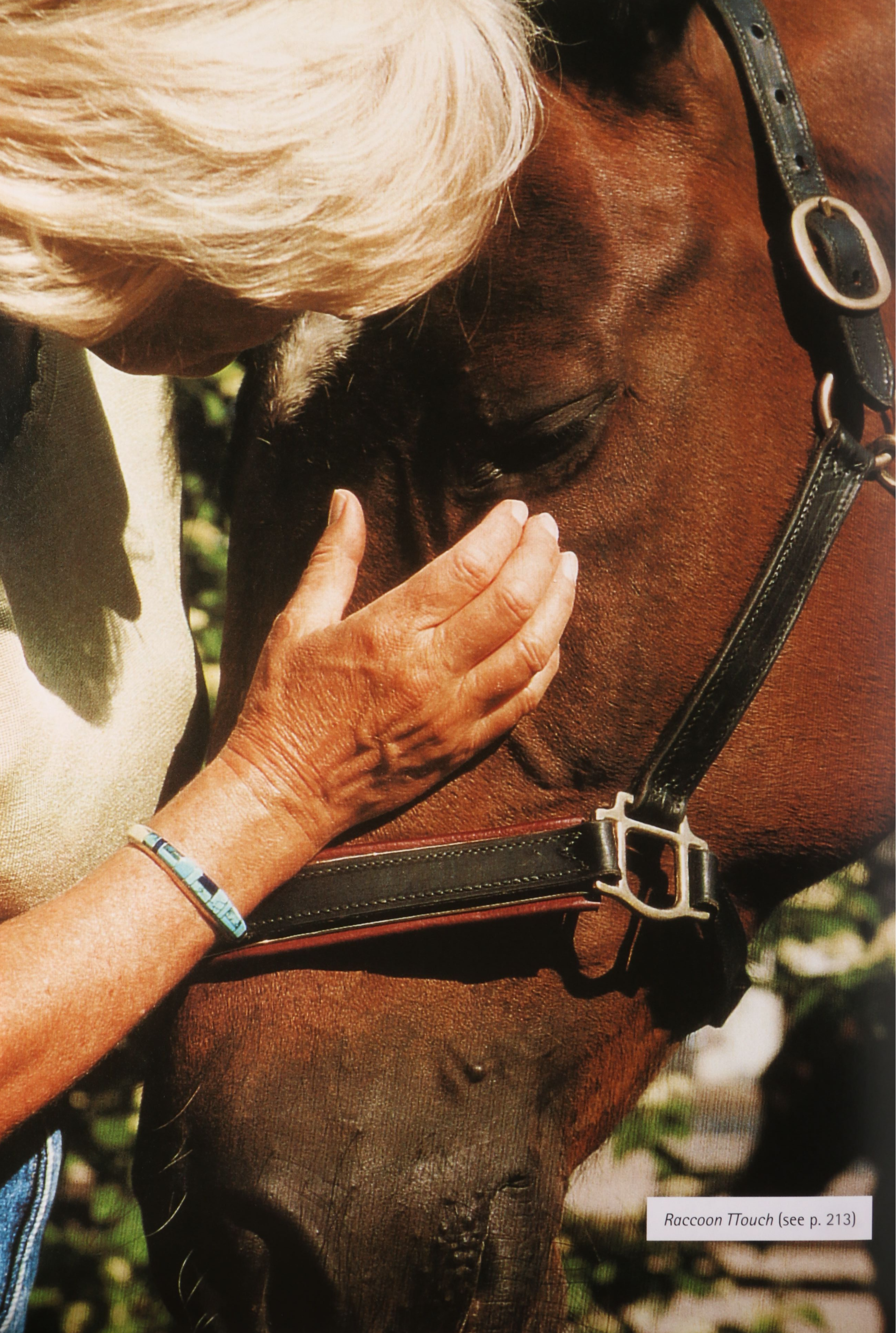 First Printing "Horse: Magnificent, Playful, Loyal" and More Horse Books