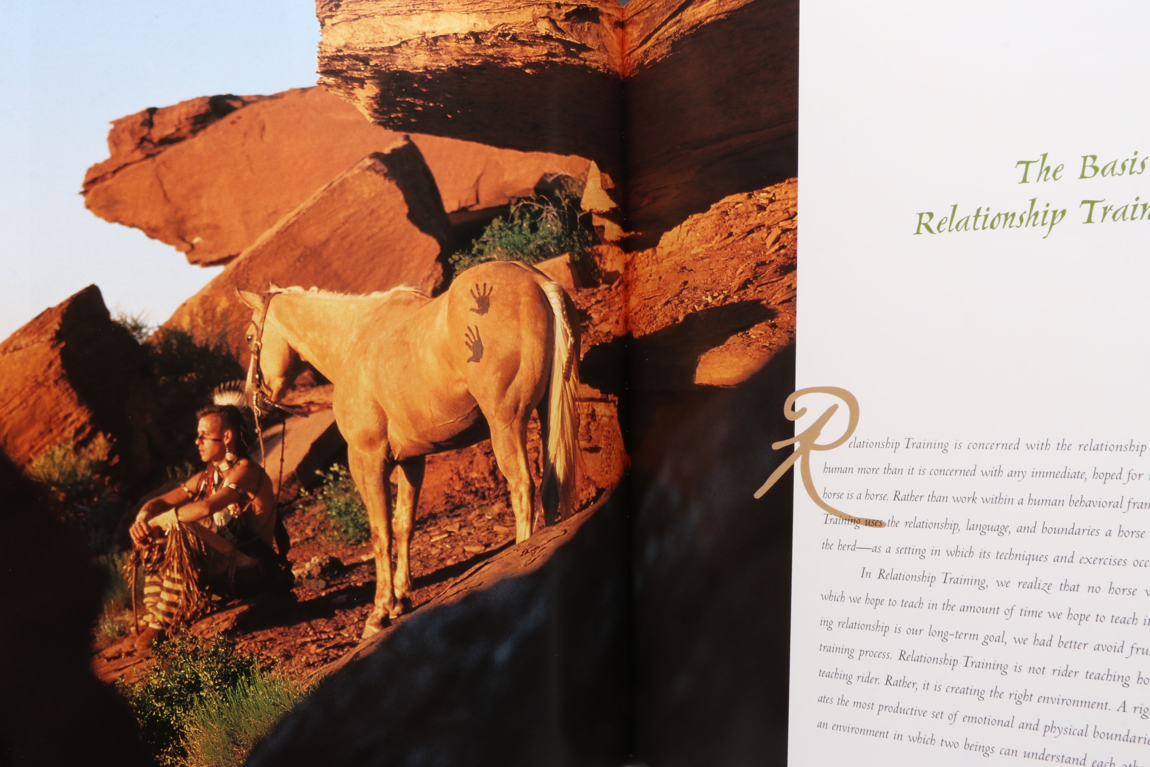 First Printing "Horse: Magnificent, Playful, Loyal" and More Horse Books