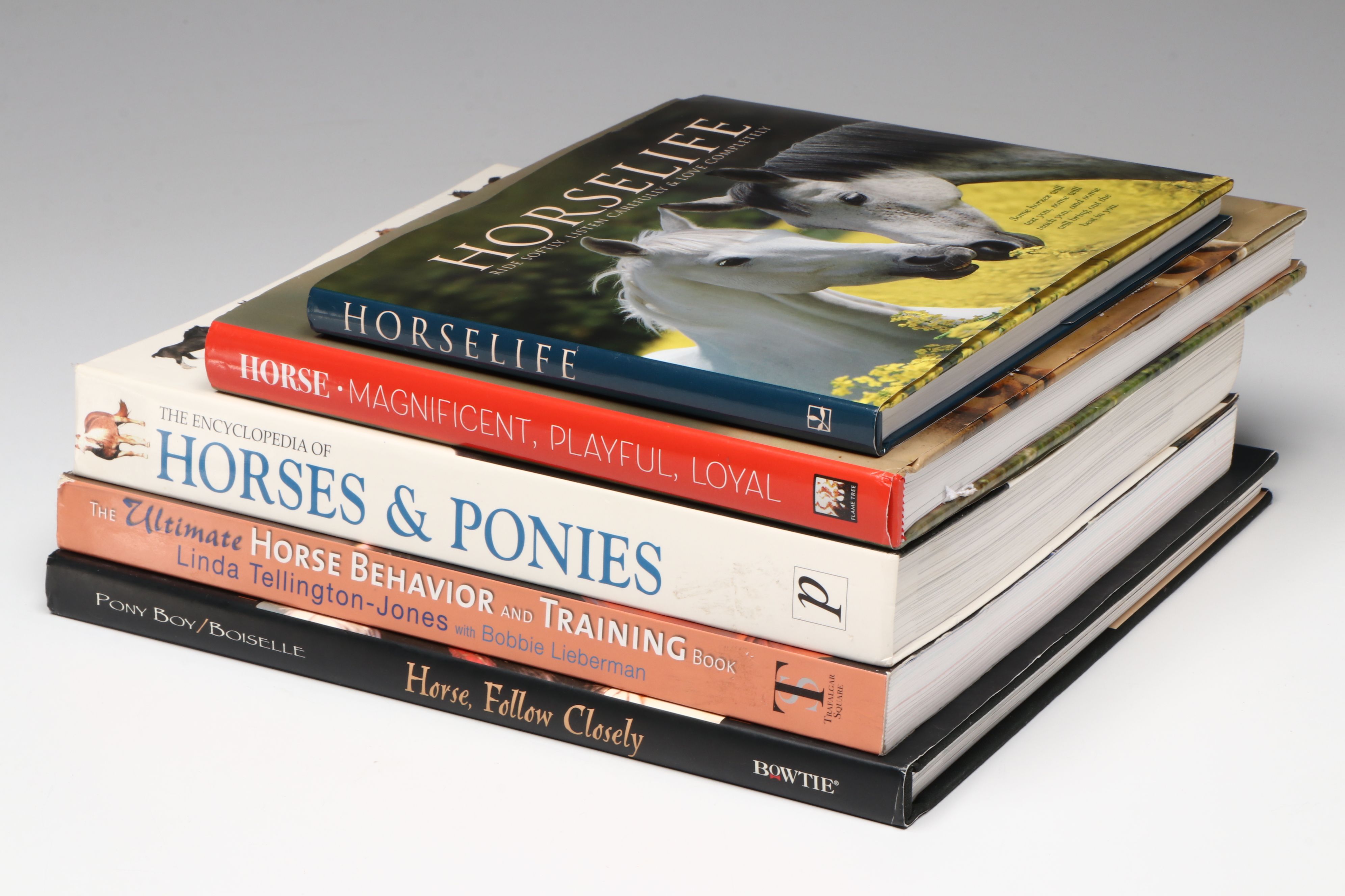 First Printing "Horse: Magnificent, Playful, Loyal" and More Horse Books