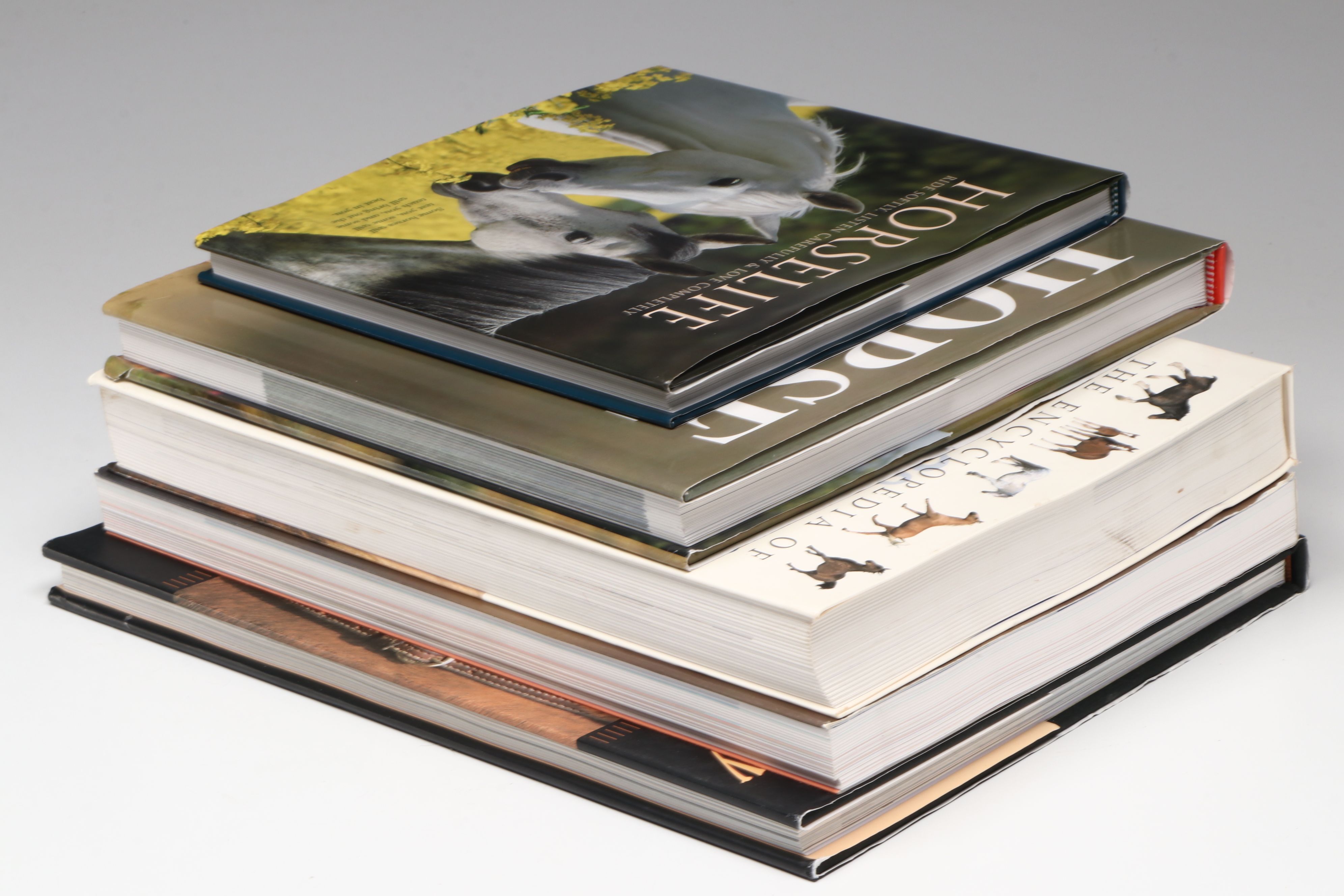 First Printing "Horse: Magnificent, Playful, Loyal" and More Horse Books