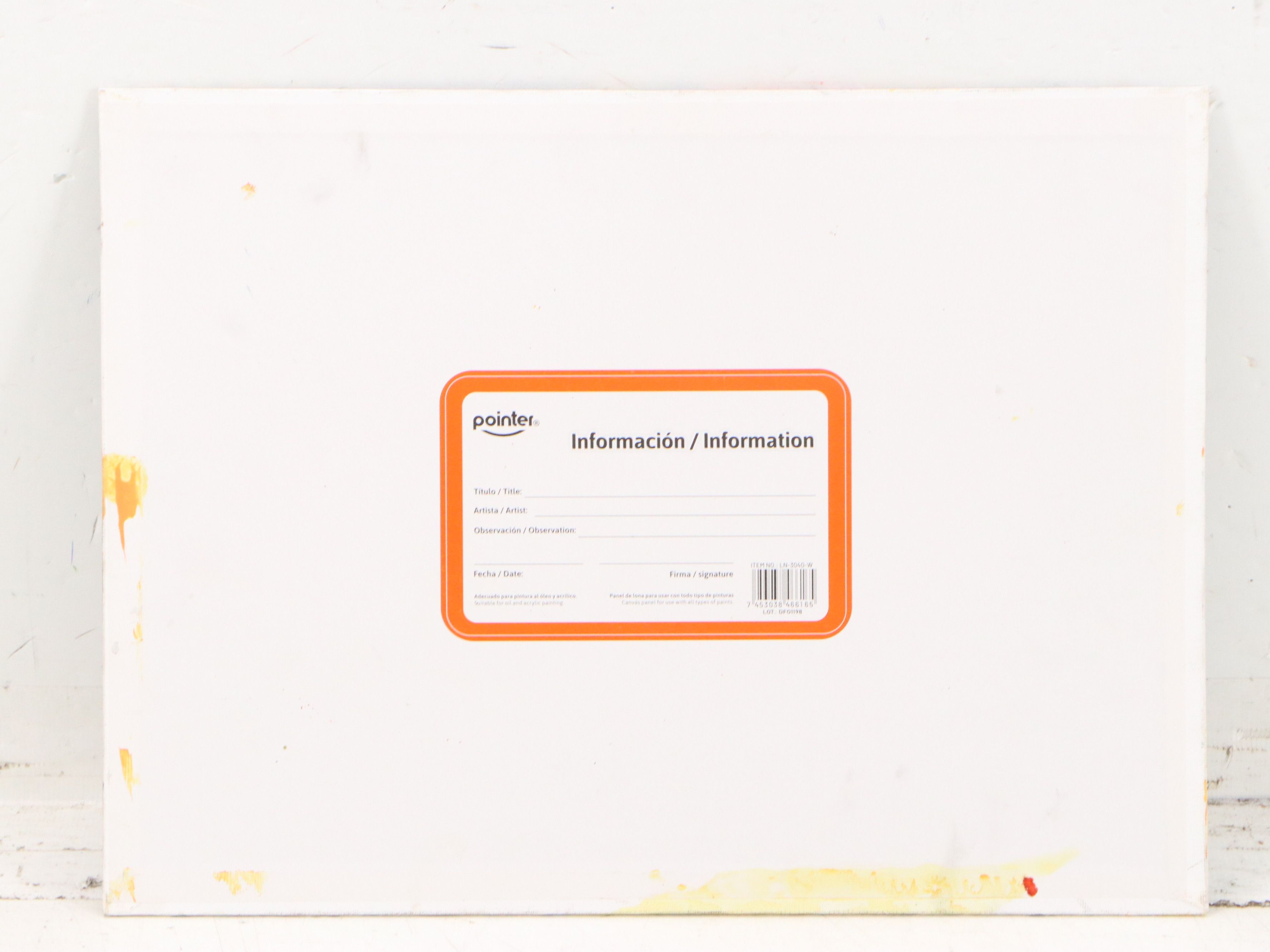 Loana Lopez Oil Portrait Painting of Girl with Macaw