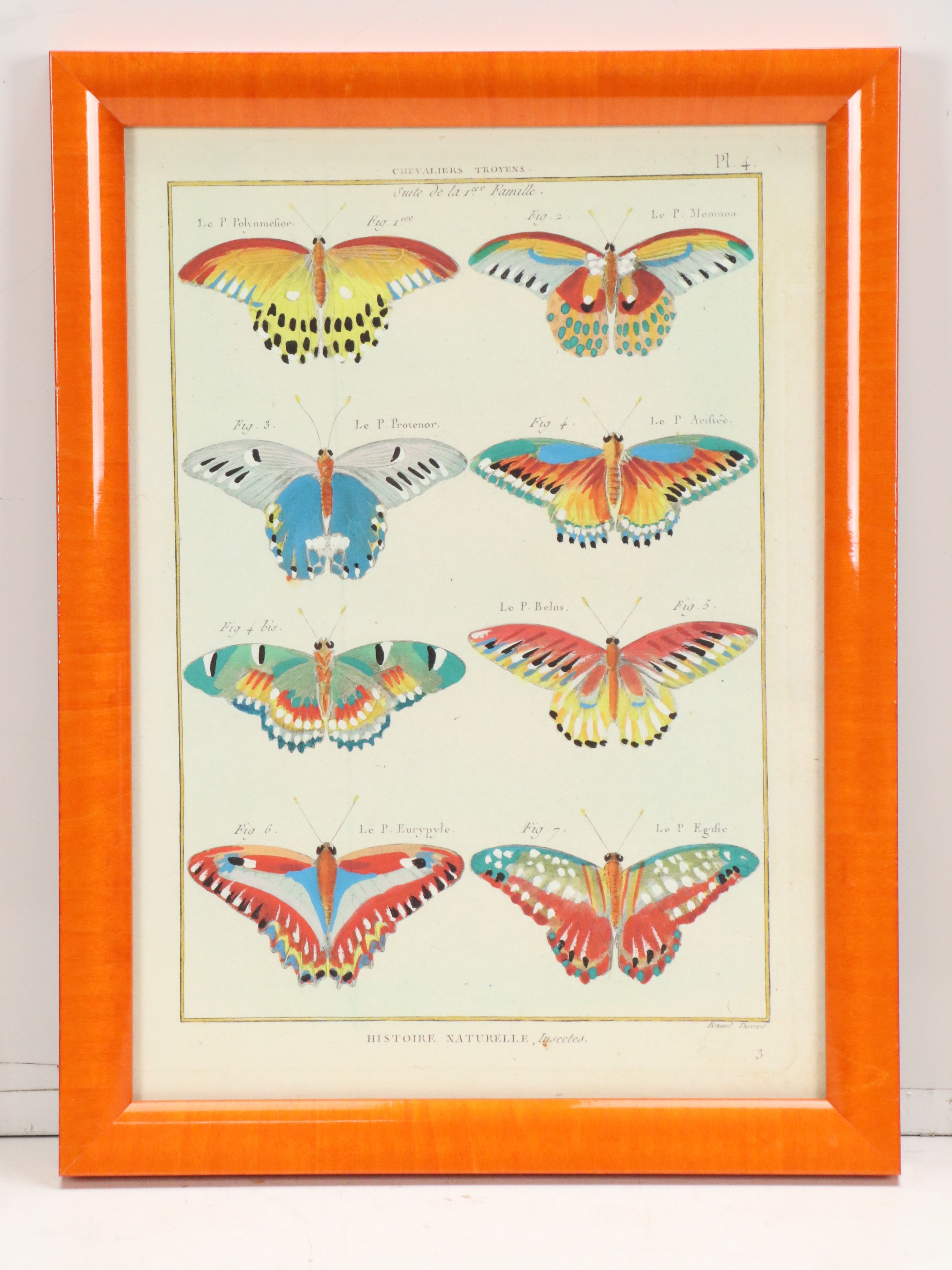 Hand-Colored Giclees of Butterflies from "Histoire Naturelle, Insectes"