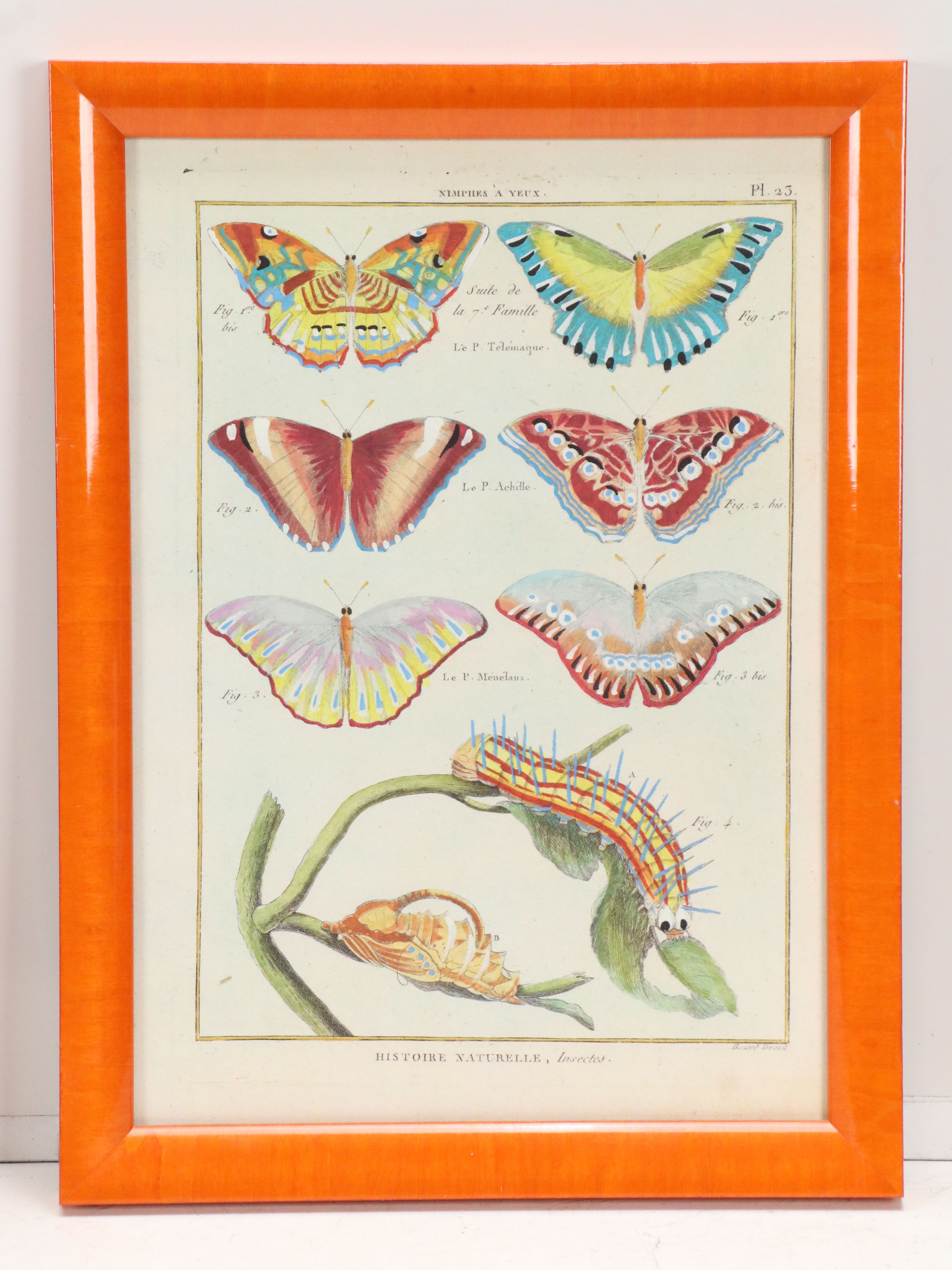 Hand-Colored Giclees of Butterflies from "Histoire Naturelle, Insectes"