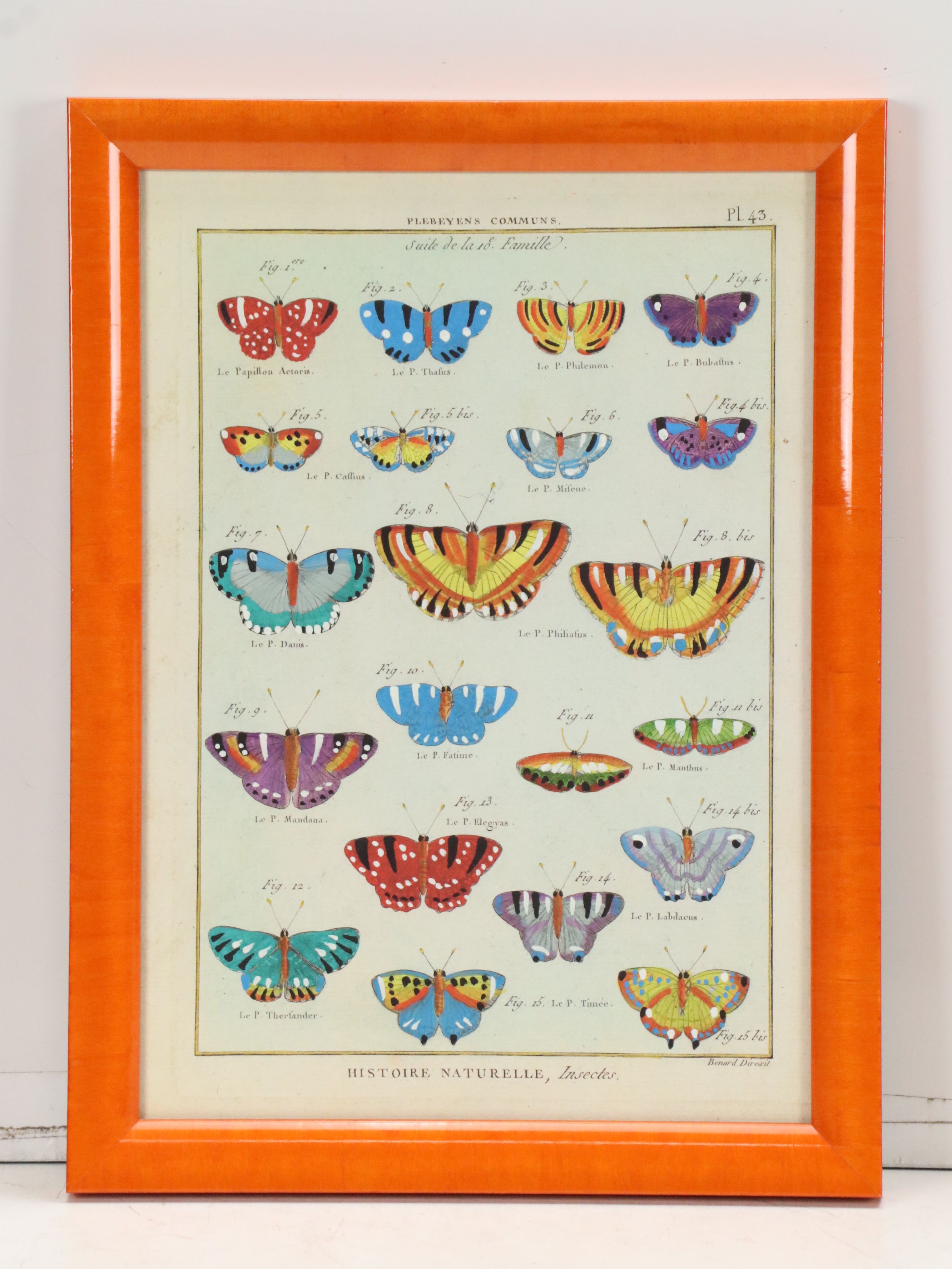 Hand-Colored Giclees of Butterflies from "Histoire Naturelle, Insectes"