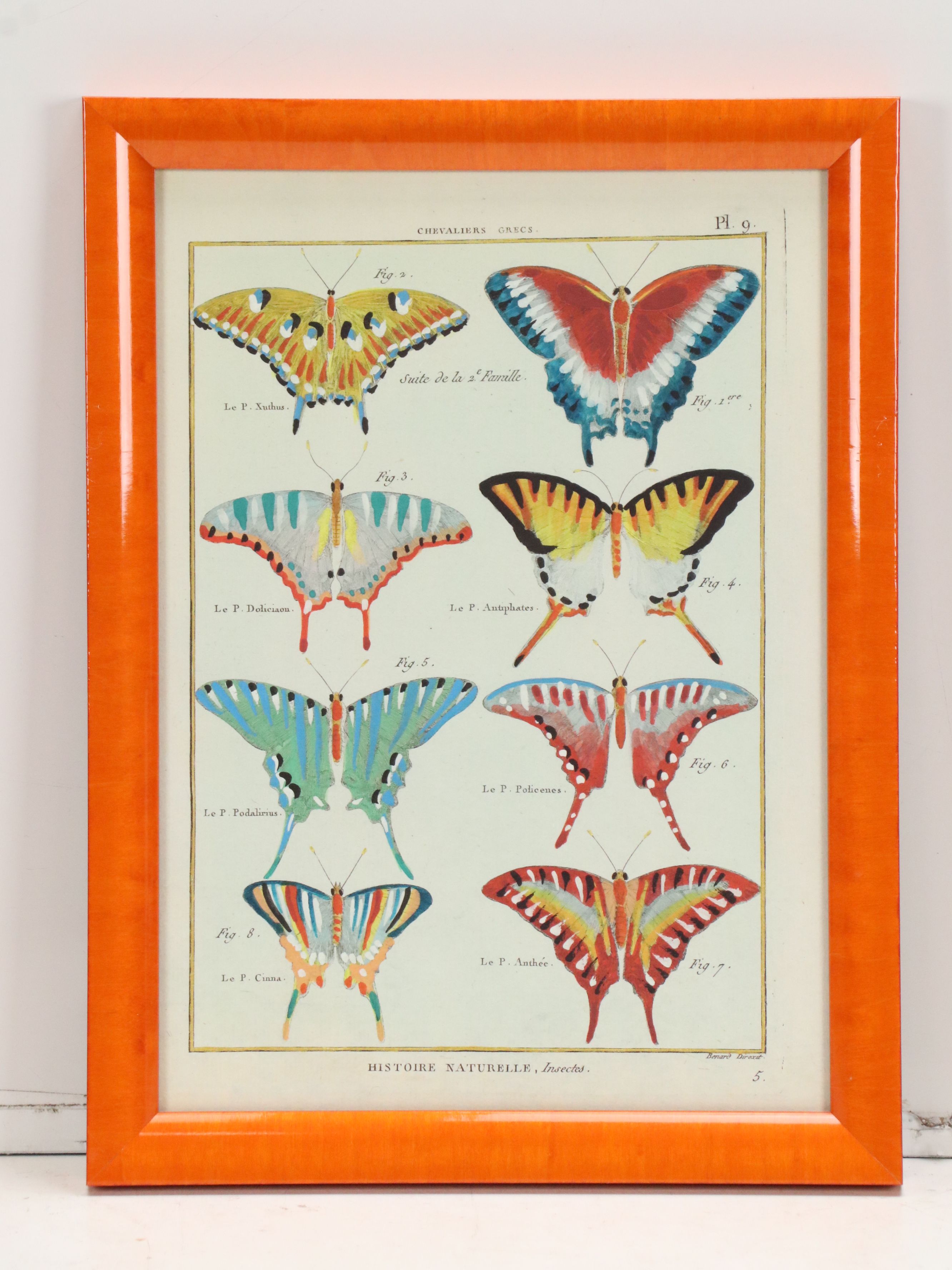 Hand-Colored Giclees of Butterflies from "Histoire Naturelle, Insectes"