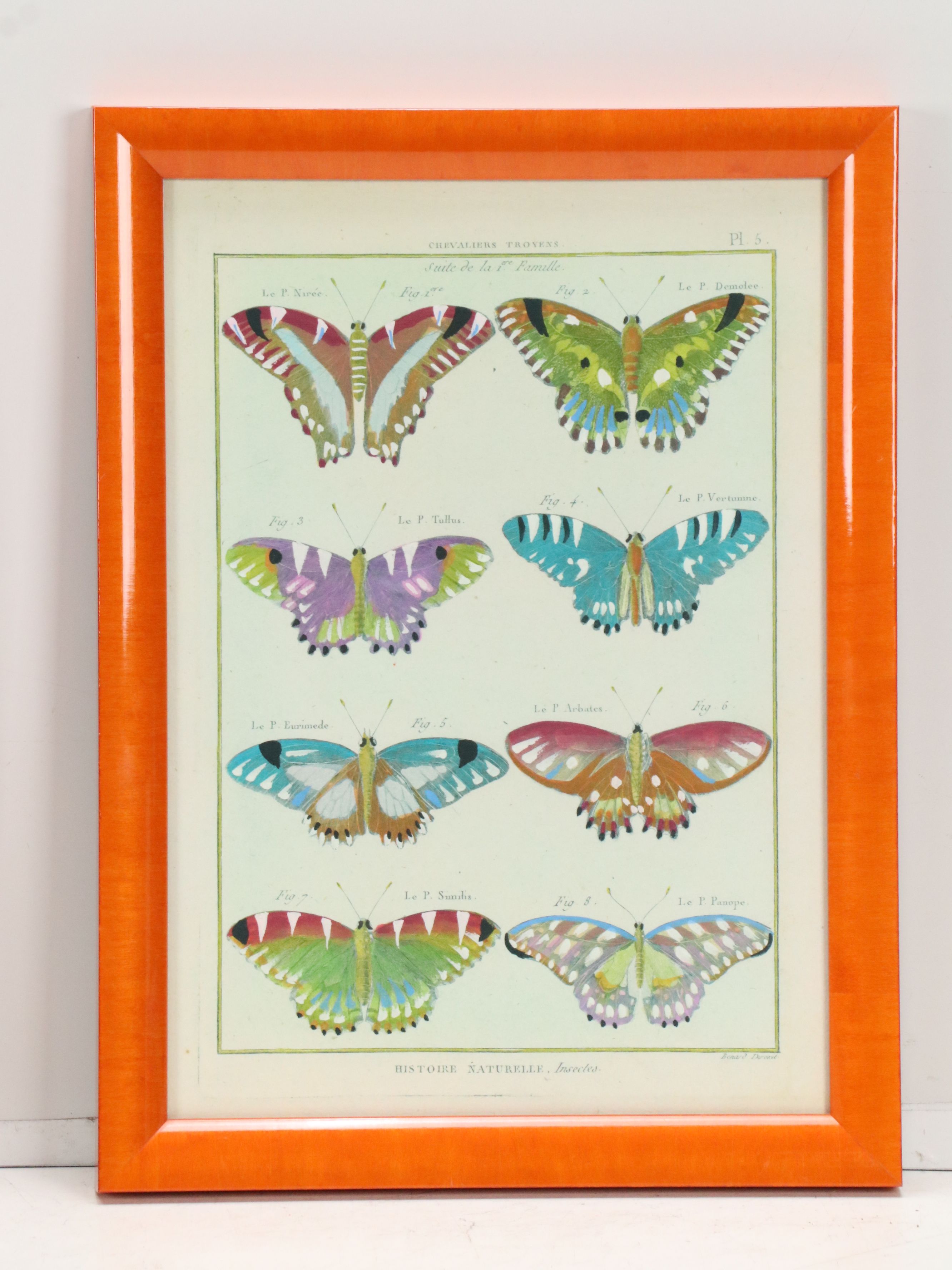 Hand-Colored Giclees of Butterflies from "Histoire Naturelle, Insectes"