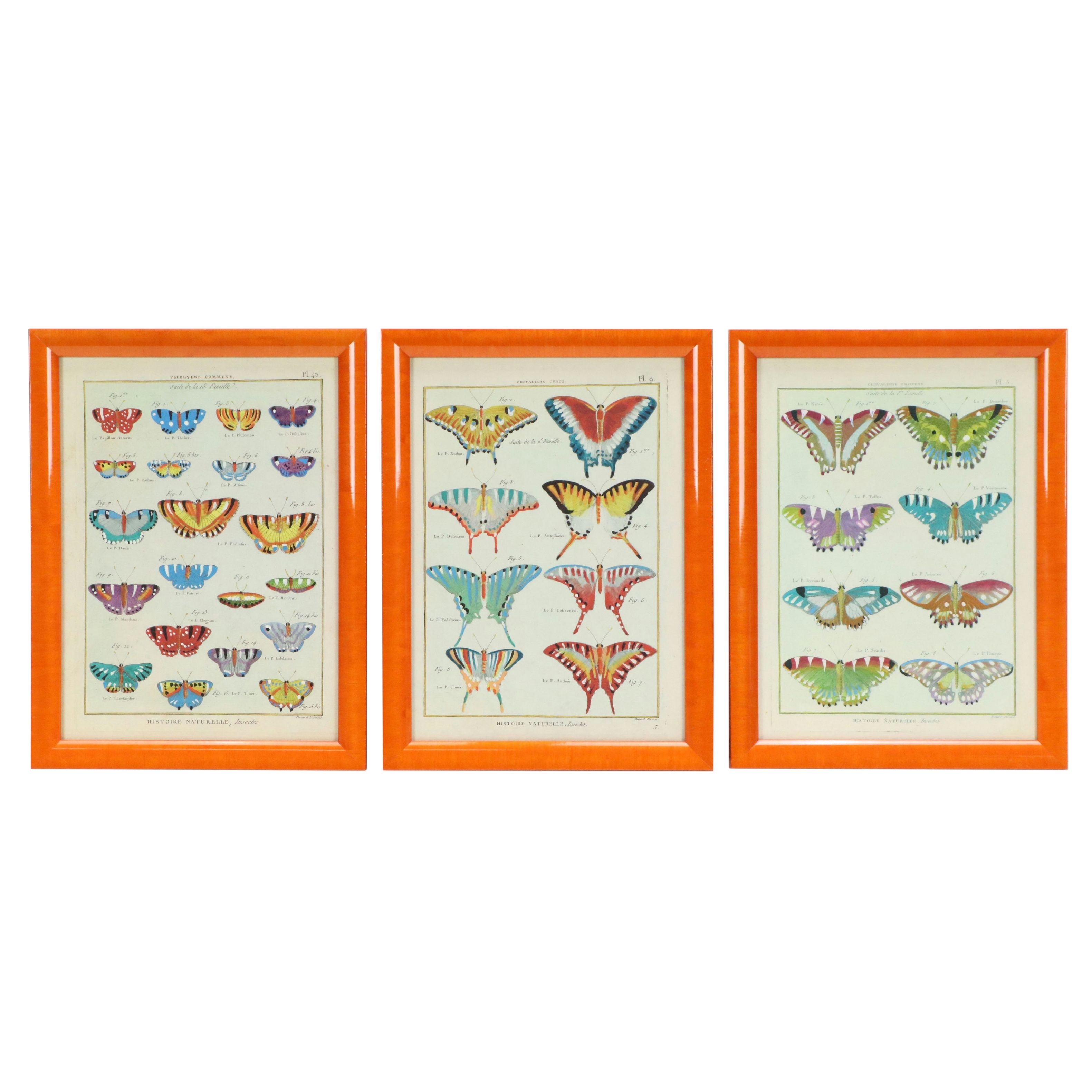 Hand-Colored Giclees of Butterflies from "Histoire Naturelle, Insectes"